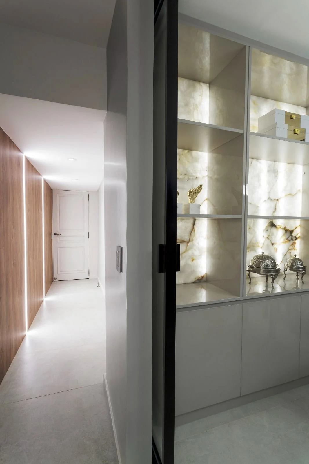A hallway with a wooden accent wall and white door, viewed through a glass partition with decorative items inside.