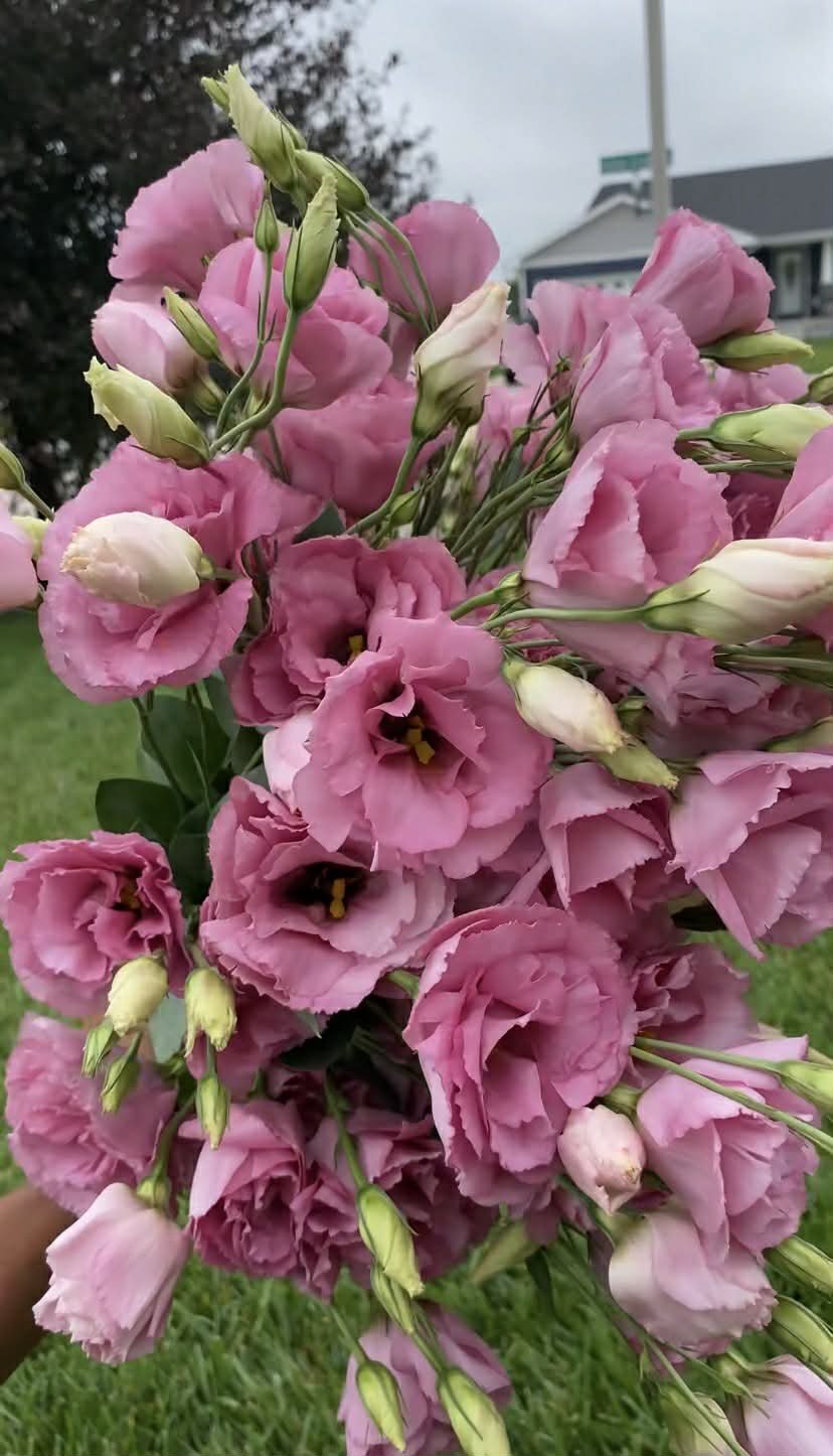 c0672546-c672-41b9-b211-ae8d1116050d (1).jpg