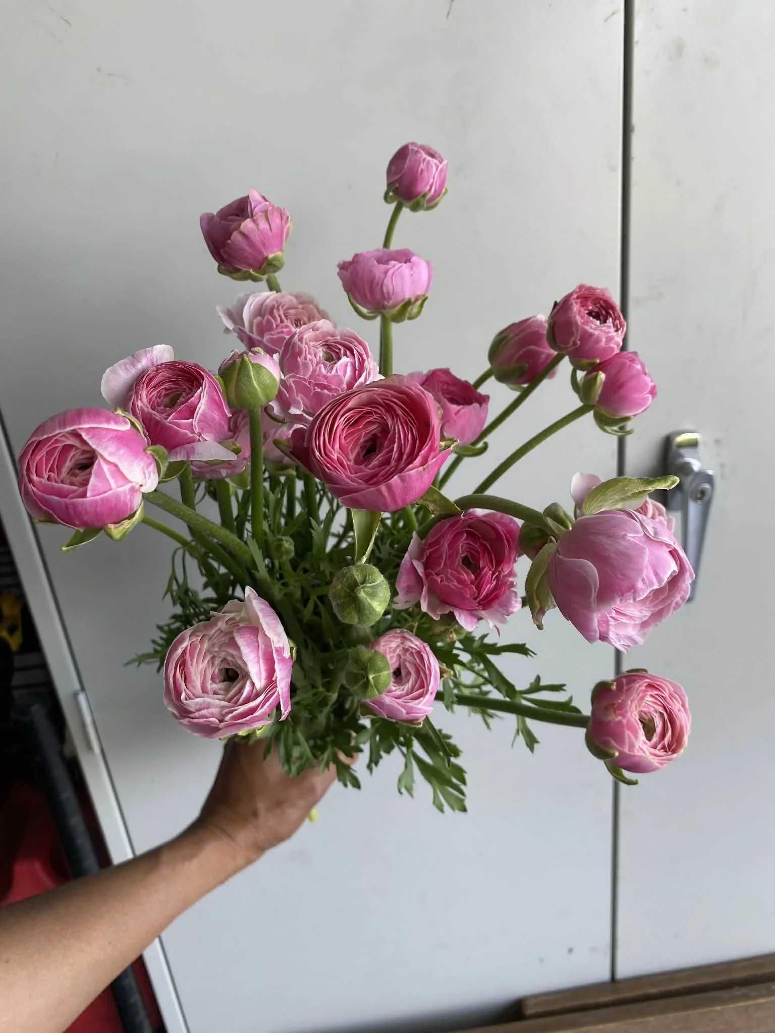 Spring Bouquet Subscription