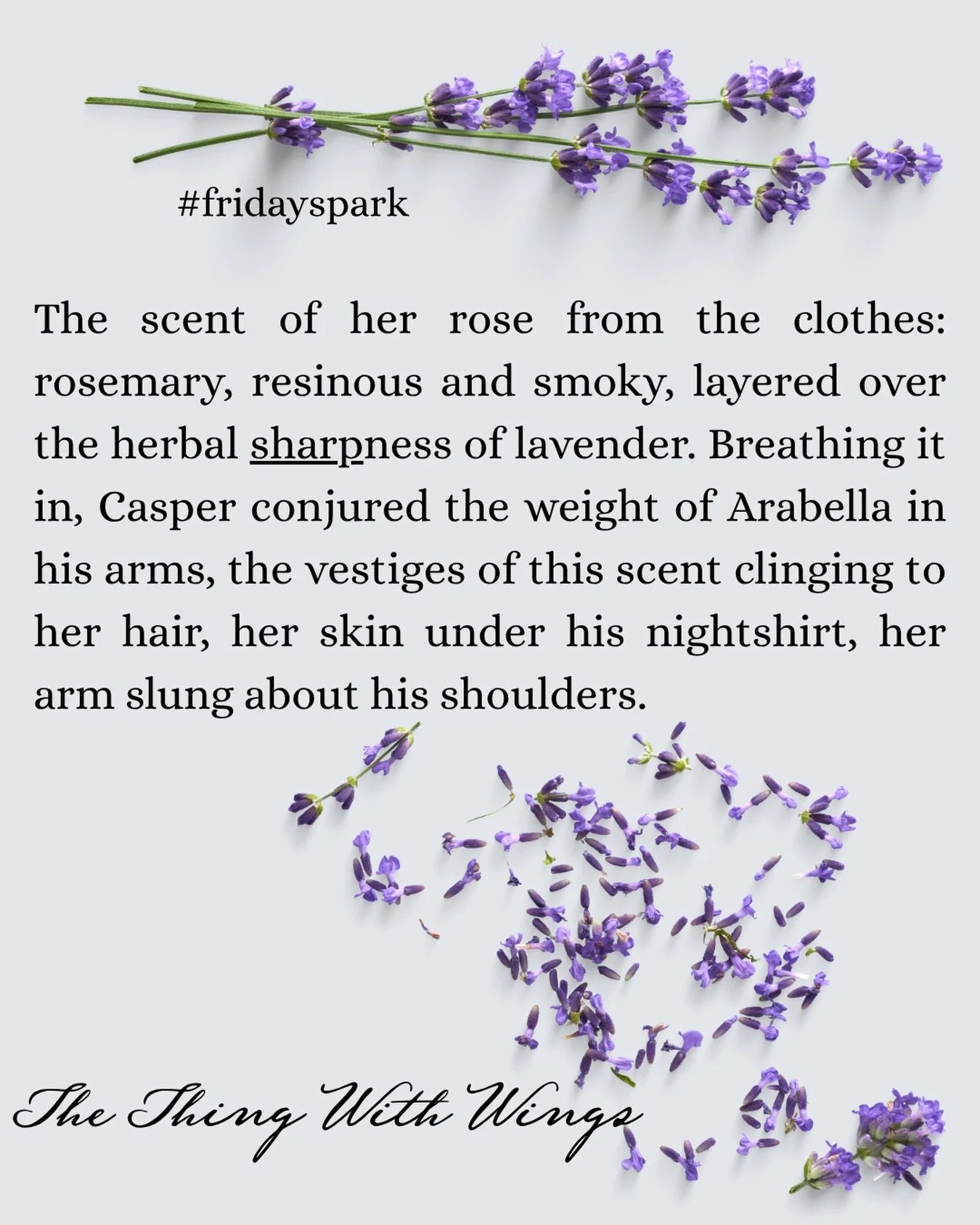 Sharp is undoubtedly Arabella&rsquo;s word, but for this #fridayspark I thought I&rsquo;d share Casper&rsquo;s side of things and the singular way he loves his sharp woman, the way her particular spirit is exactly right for him. #thethingwithwingsnov