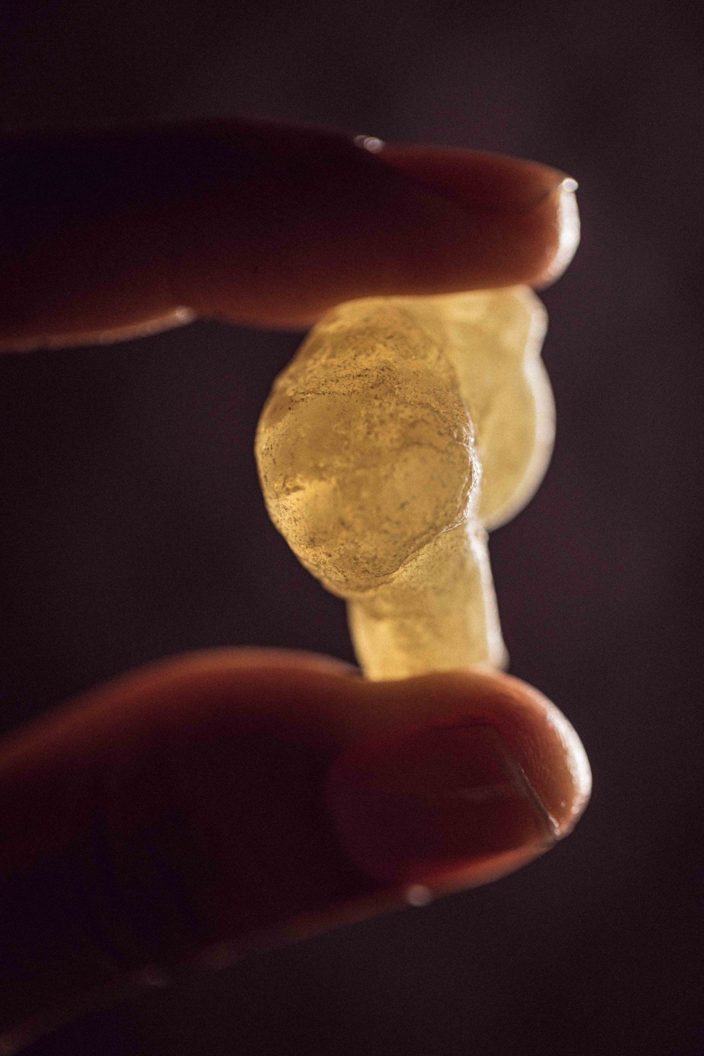 ALILA_HINU_FRANKINCENSE_WELLNESS-9915-scaled-uai-1440x2160.jpg