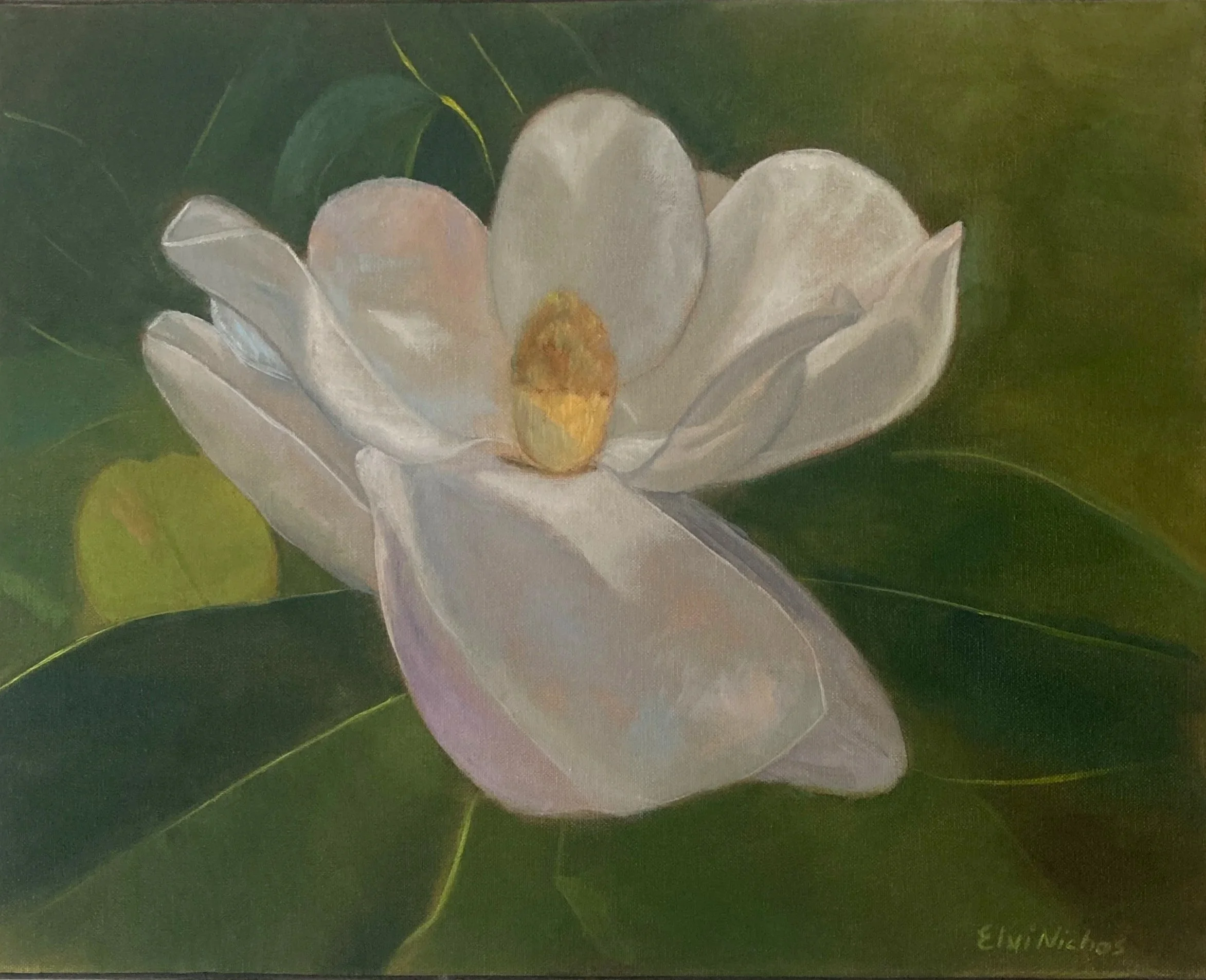Magnolia Awakening