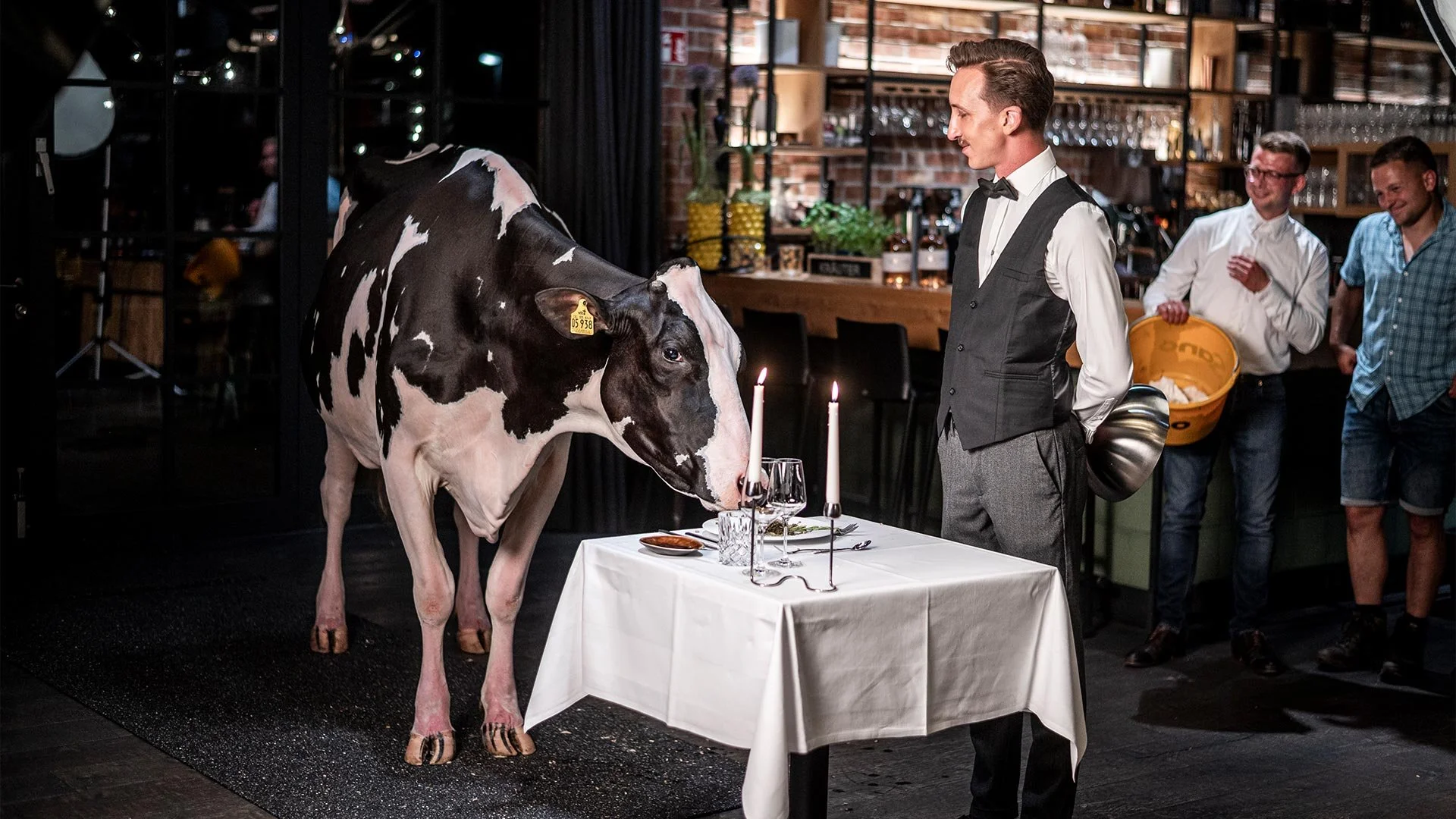 Ein Mann in formeller Kleidung und eine Kuh, die sich an einem Esstisch mit Kerzen in einem Restaurant gegenüber sitzen. mila motions Werbefilmproduktion