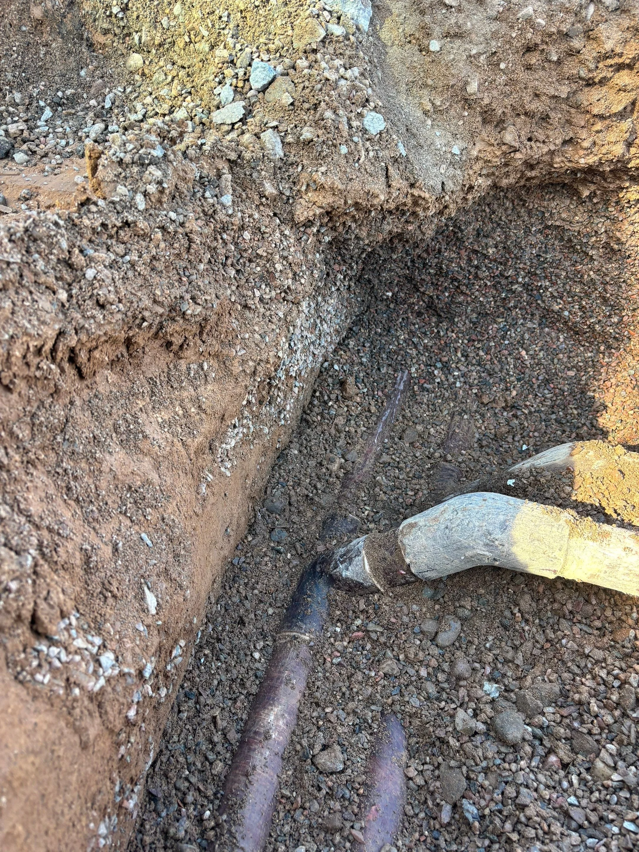 3-Jan 06 2026 03_01pm-UyVo.jpg