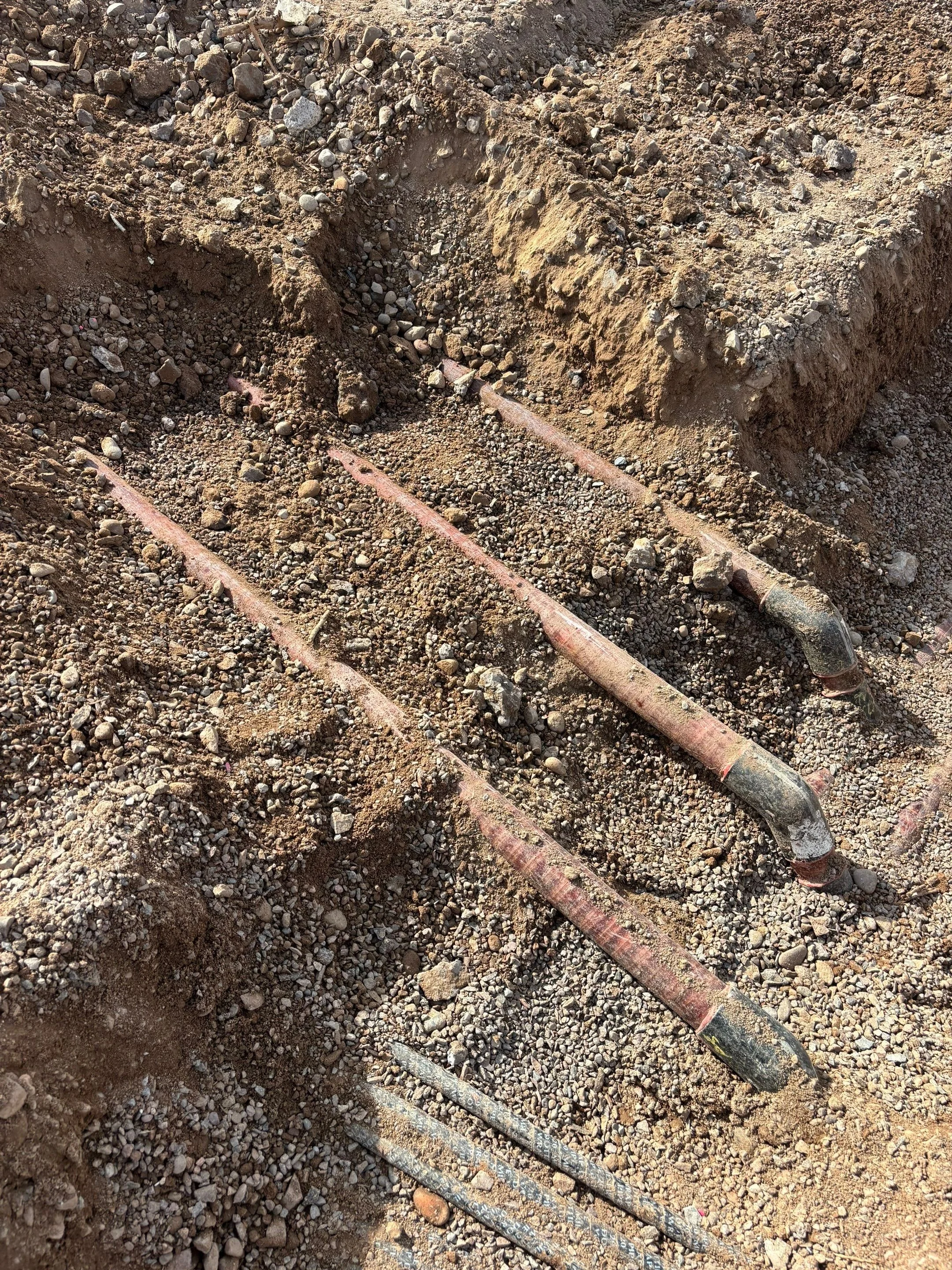 1-Jan 06 2026 12_04pm-m7cV.jpg