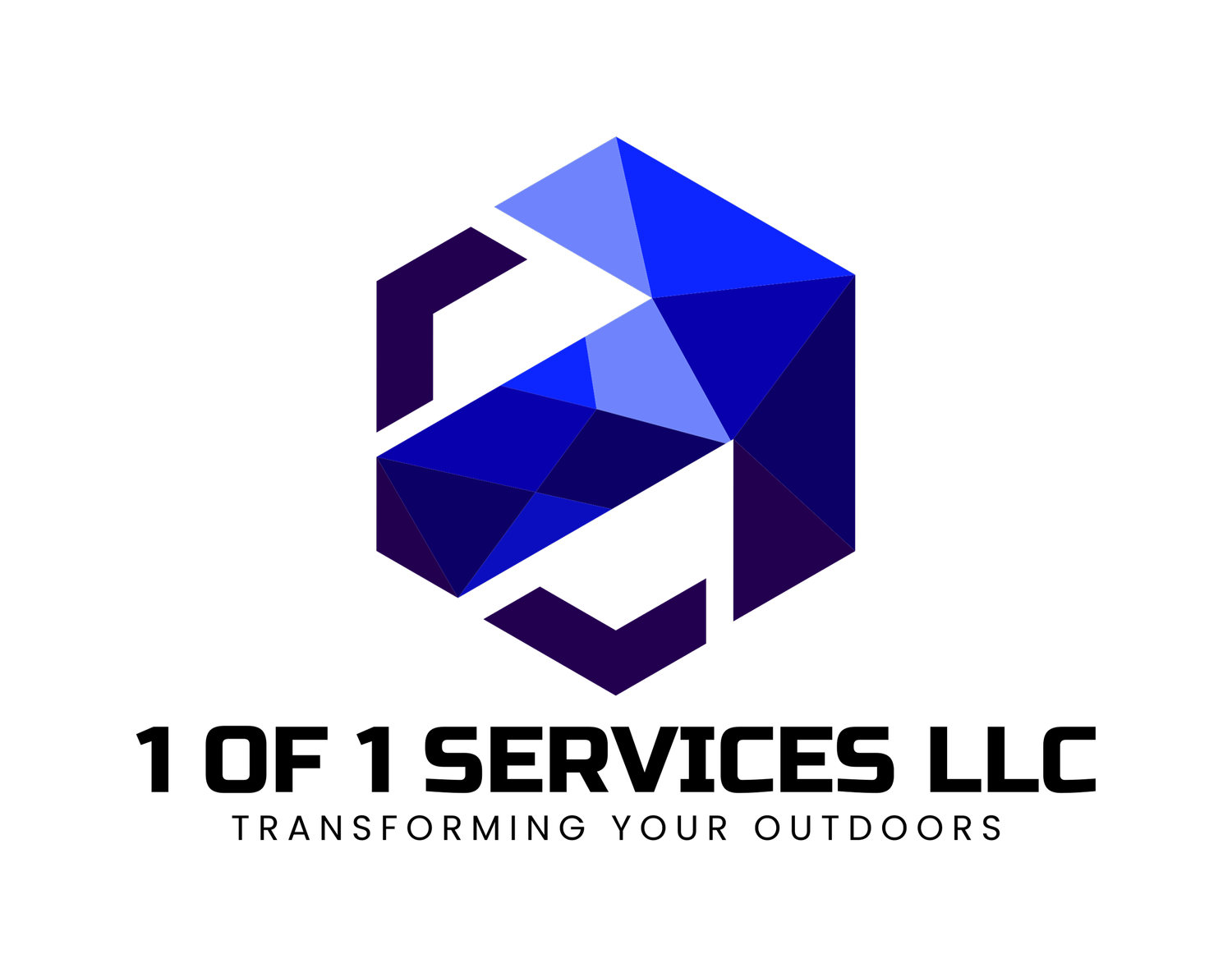 1 of 1 Services LLC