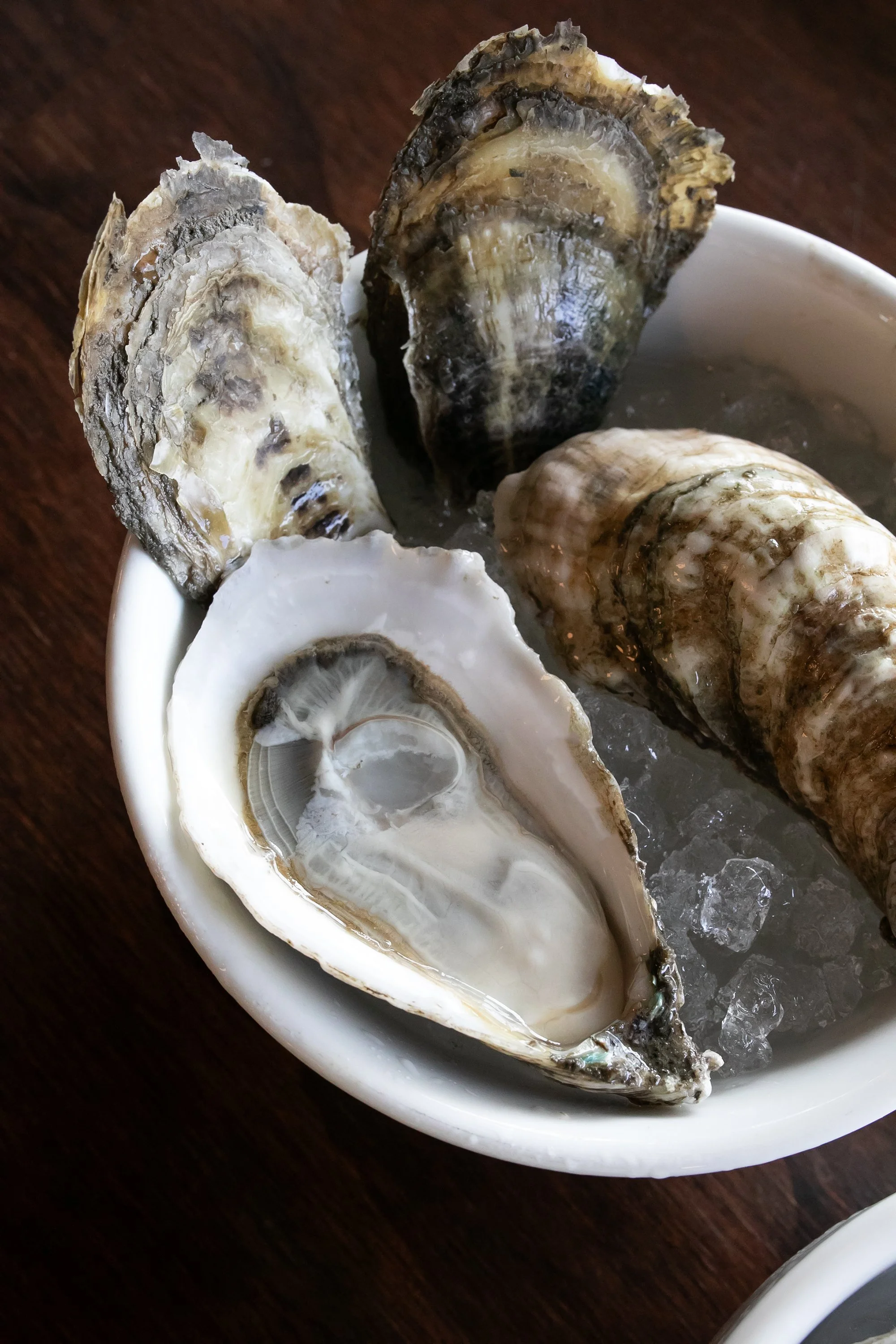 Jettie Raes_Oyster Education_146.jpg