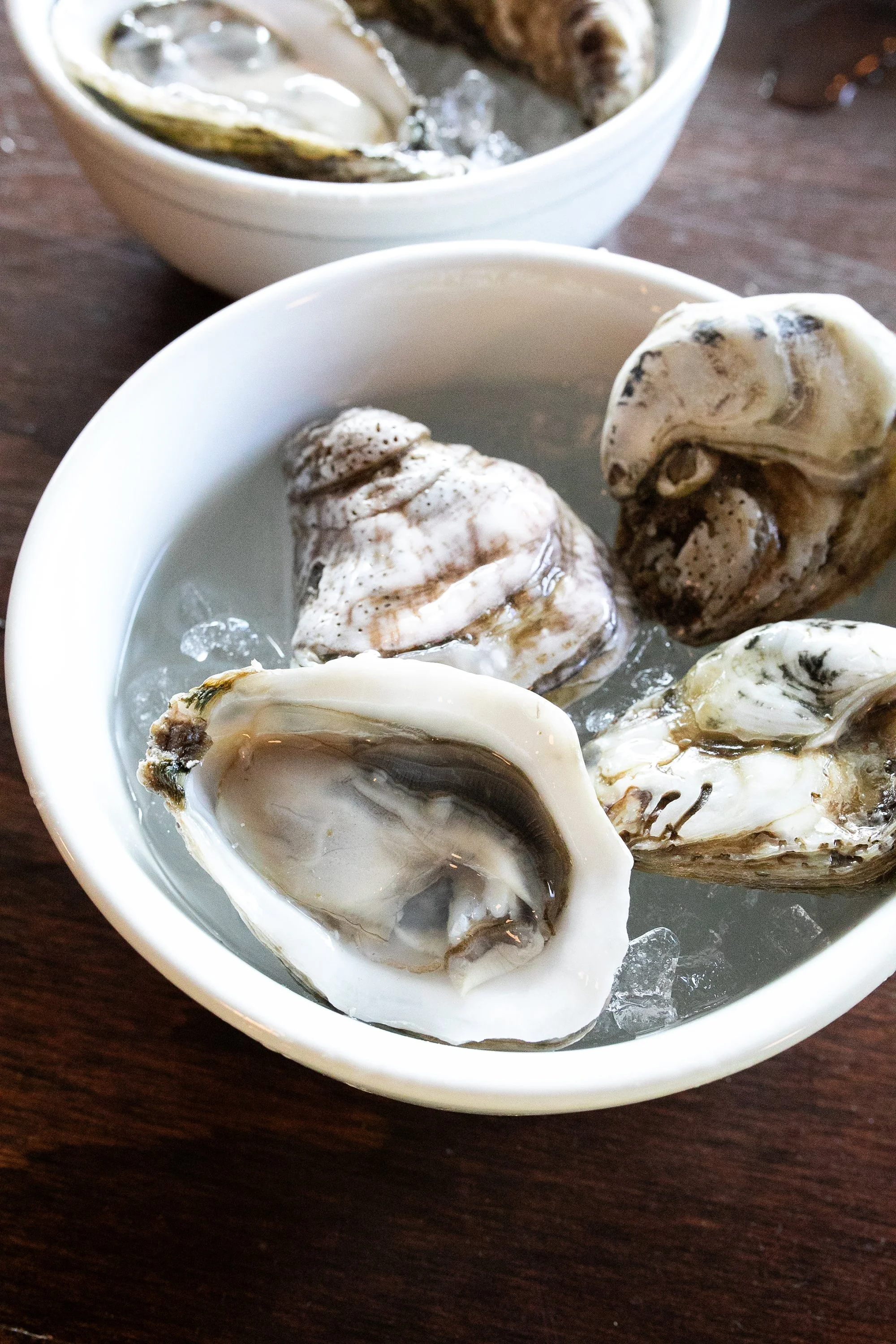 Jettie Raes_Oyster Education_144.jpg