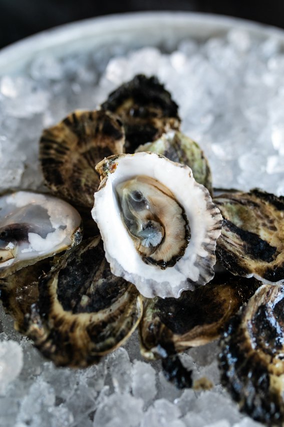 Jettie Raes_Three Sisters Oysters_001.jpg