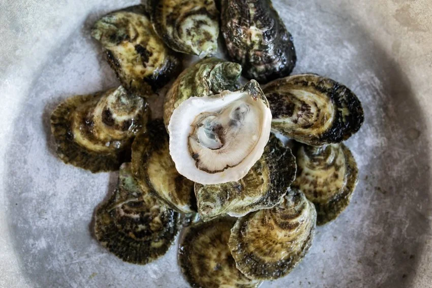 Jettie Raes_Duke Oysters_017 (1).jpg
