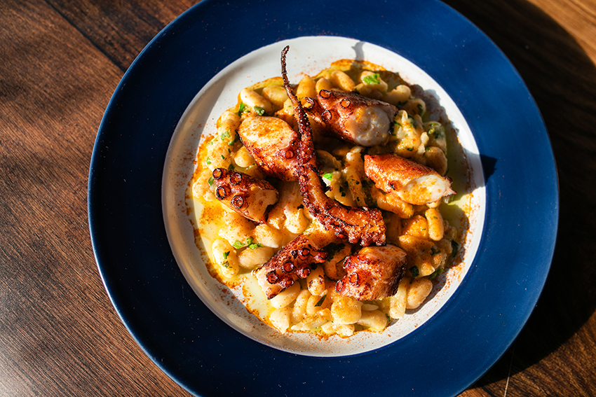 Jettie Raes_Octopus_003.png