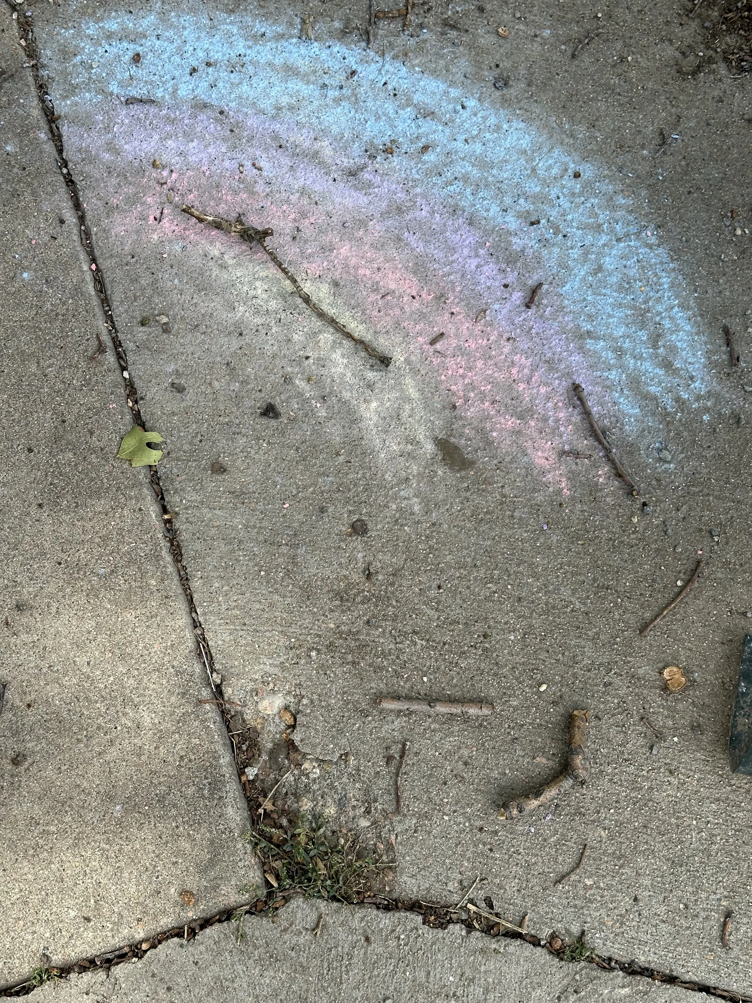 WITH PULSE STRING QUARTET