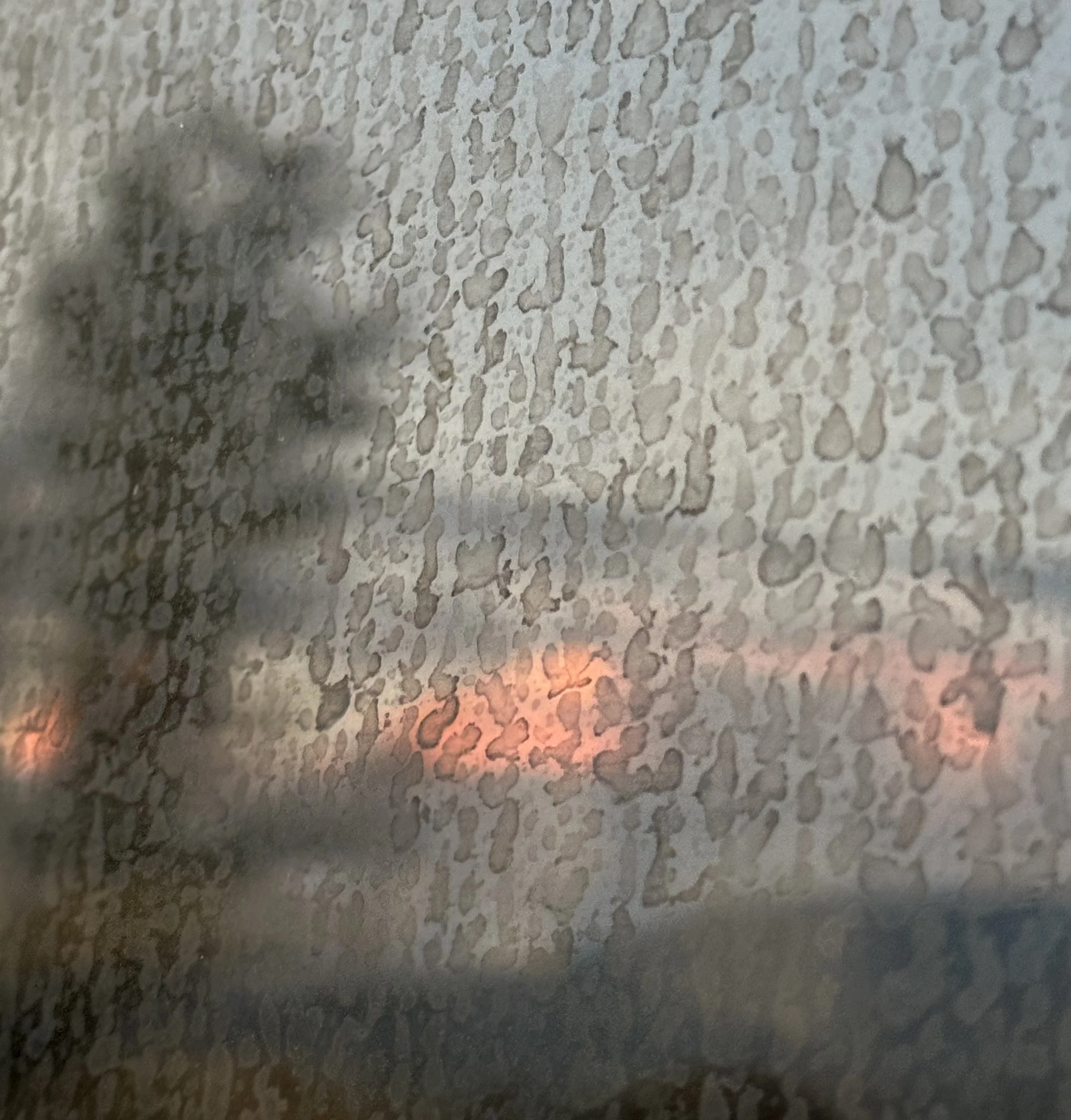 solo &amp; Phipps Pt.