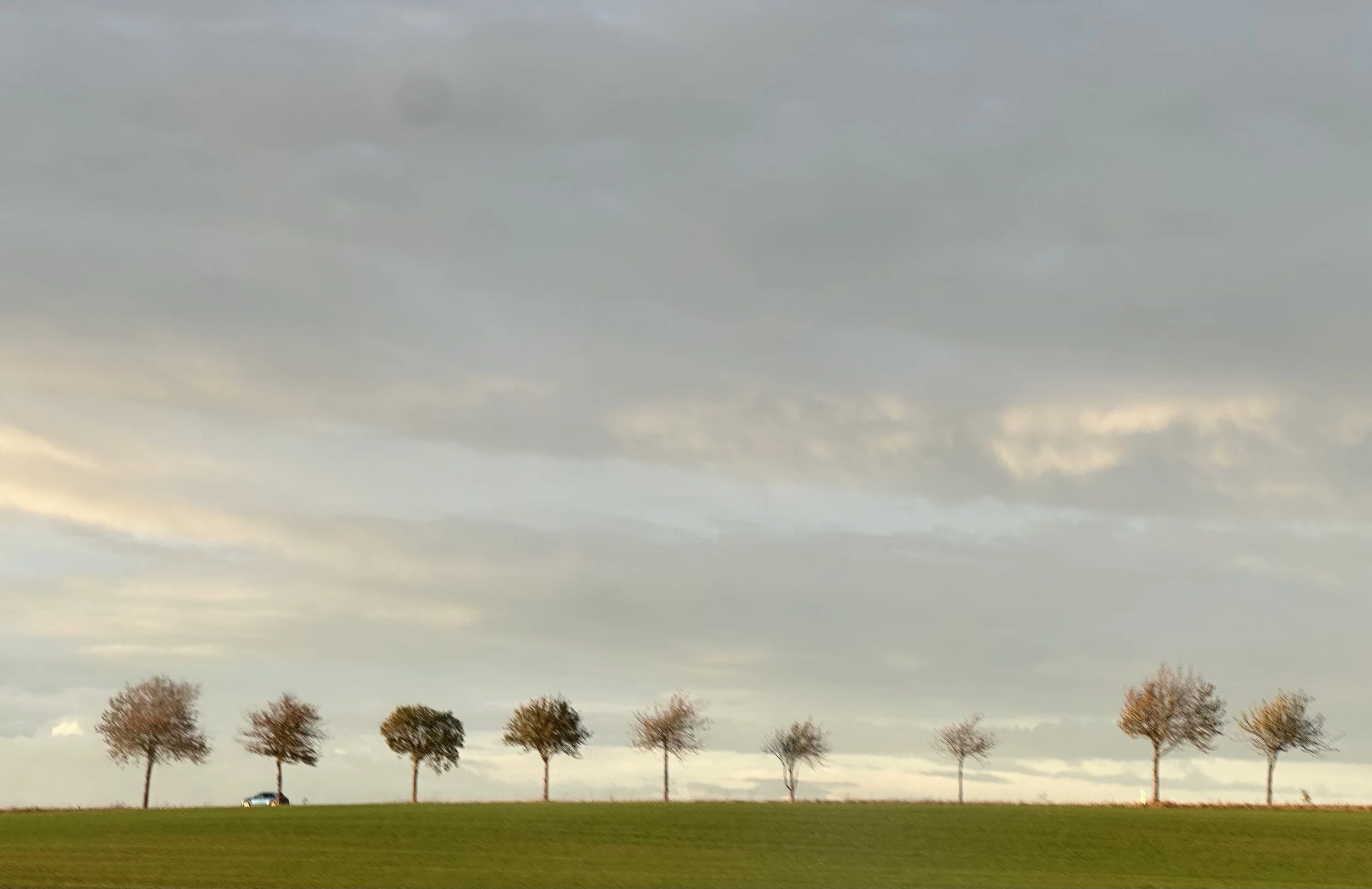 w. Strolling Gnomes (Amendola/Dimuzio/FF/Goldberg/Ochs)