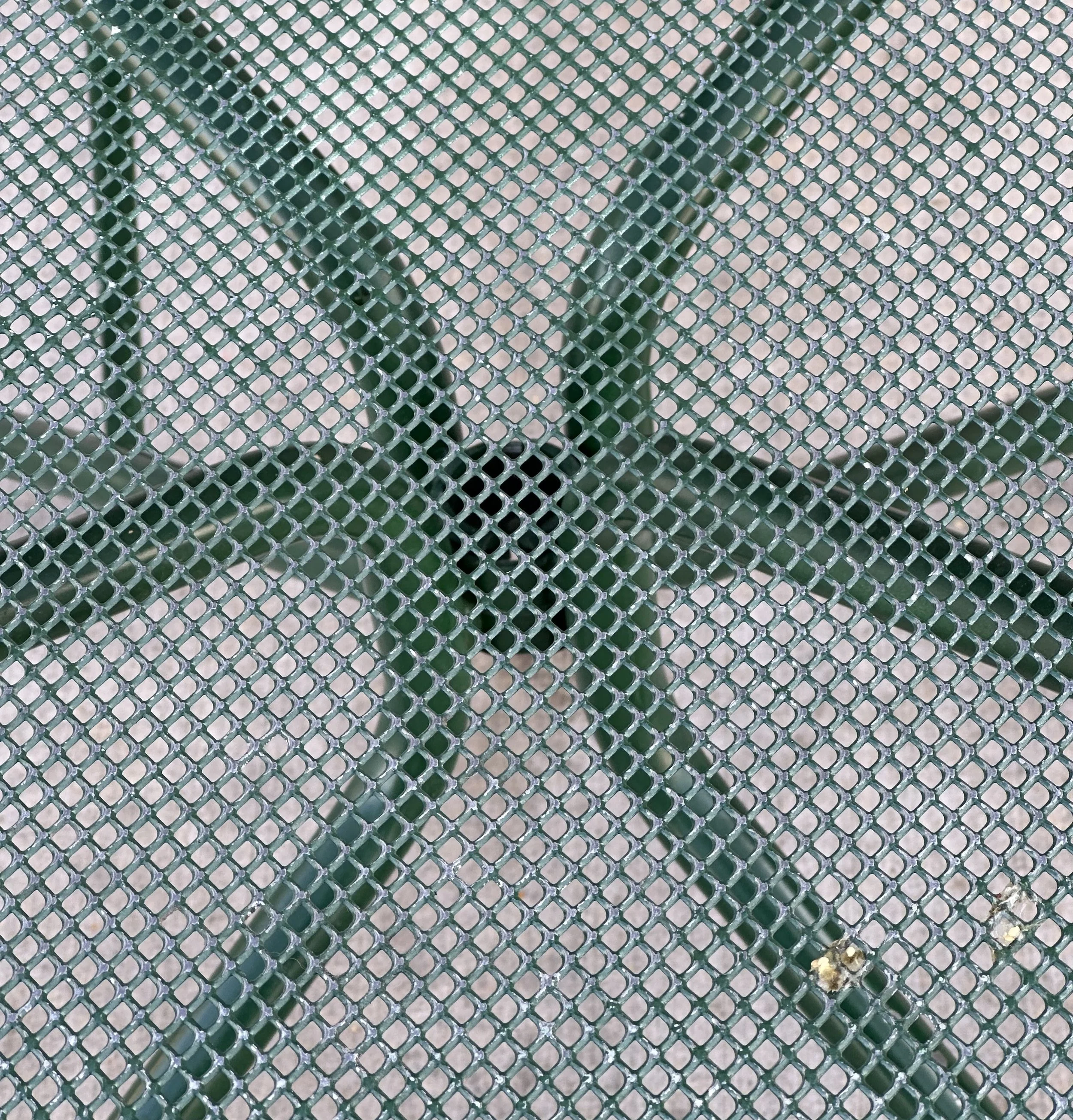 w. Russudan Meipariani