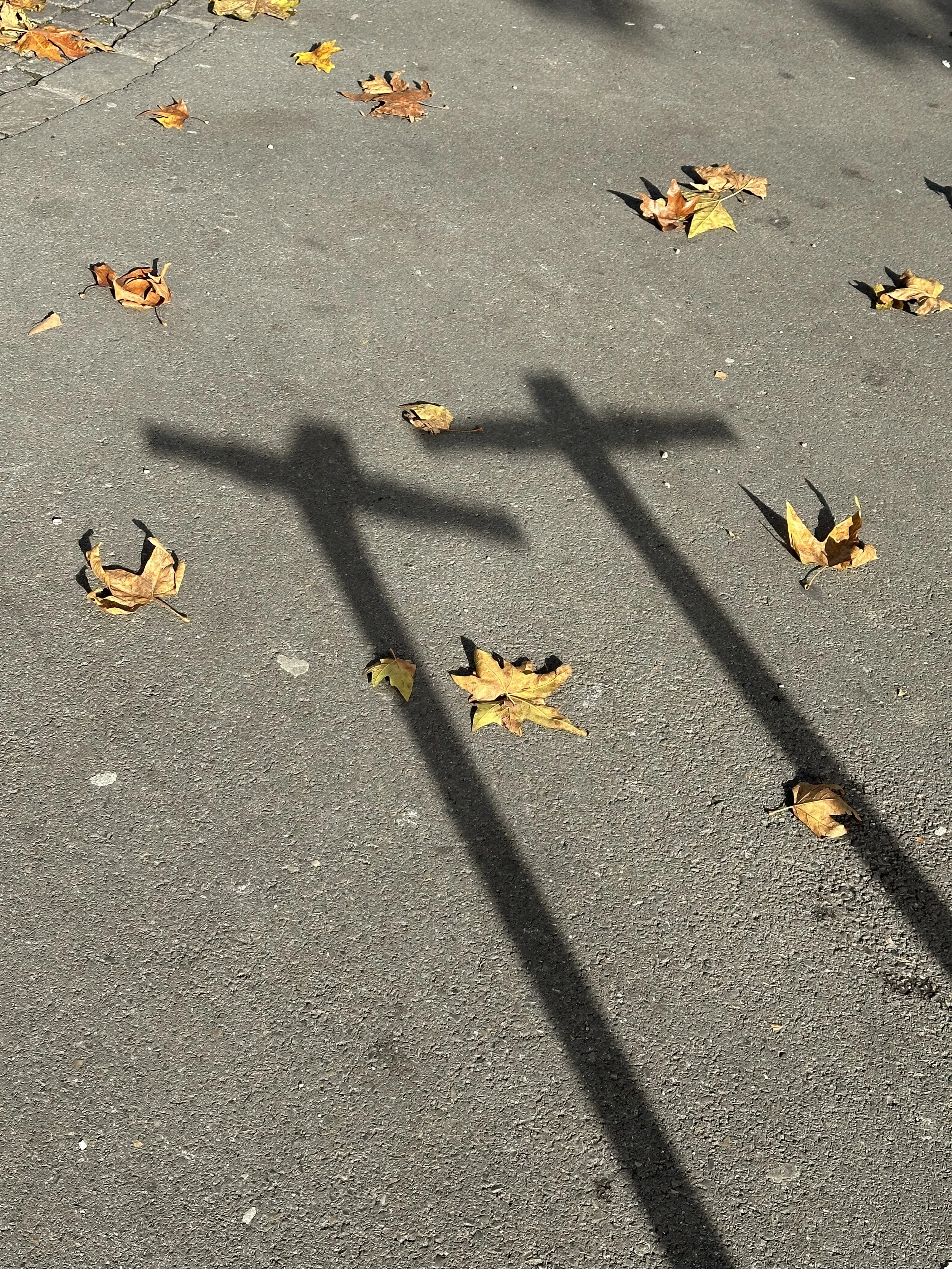 w. Russudan Maipariani