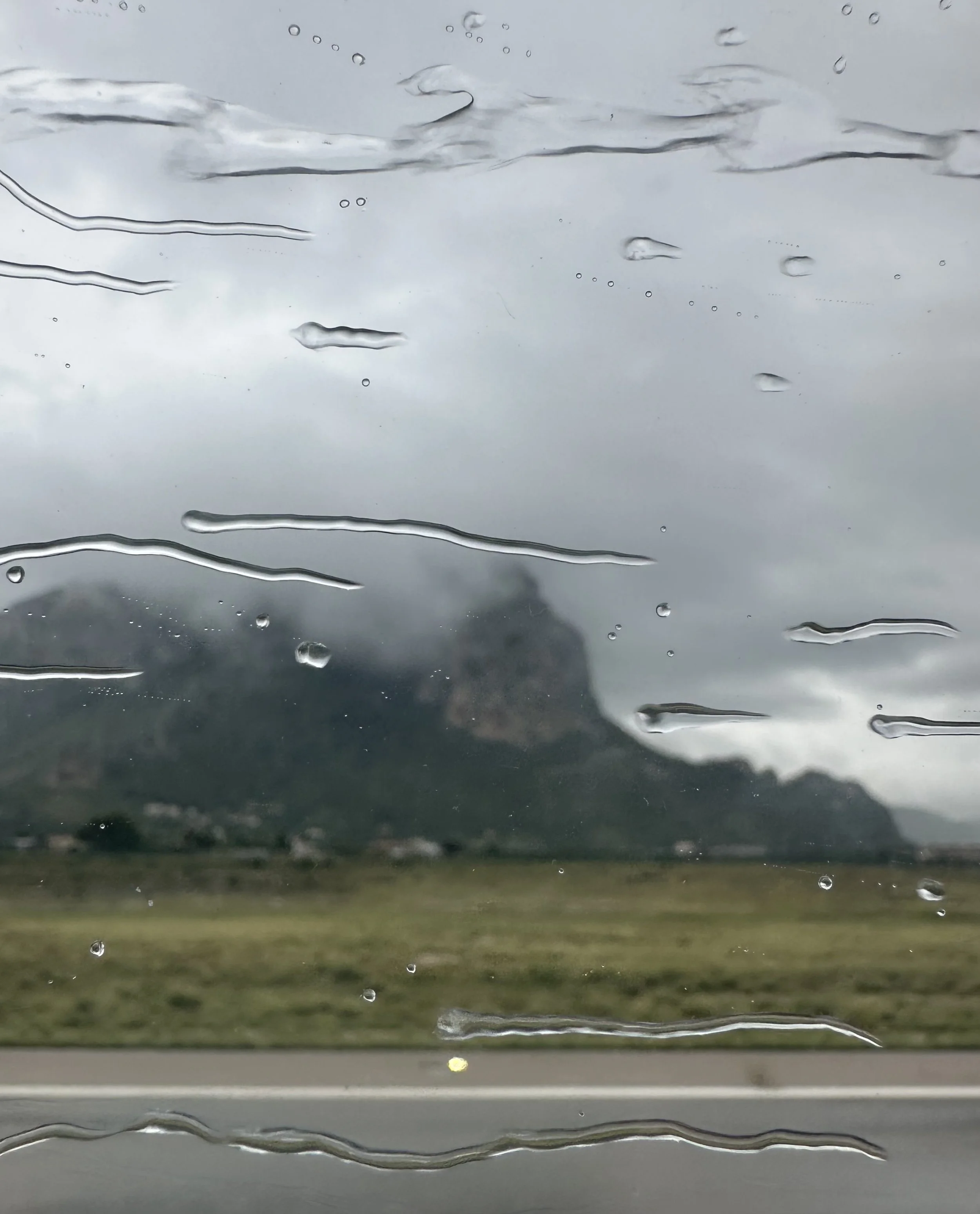 W. REWILD (ALEXANDRE GRIMAL, MARC DUCRET, FF, GERRY HEMINGWAY, SUSANA SANTOS SILVA)