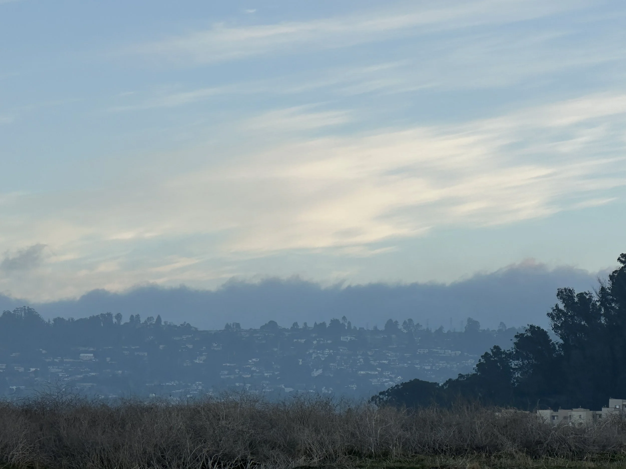 W. REWILD (ALEXANDRE GRIMAL, MARC DUCRET, FF, GERRY HEMINGWAY, SUSANA SANTOS SILVA)