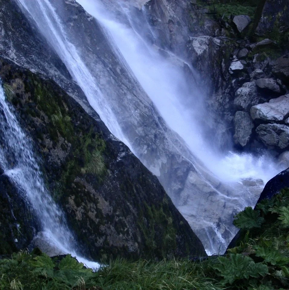 The Californians (FF, Jordan Glenn, Simon Hanes, Max Jaffe)