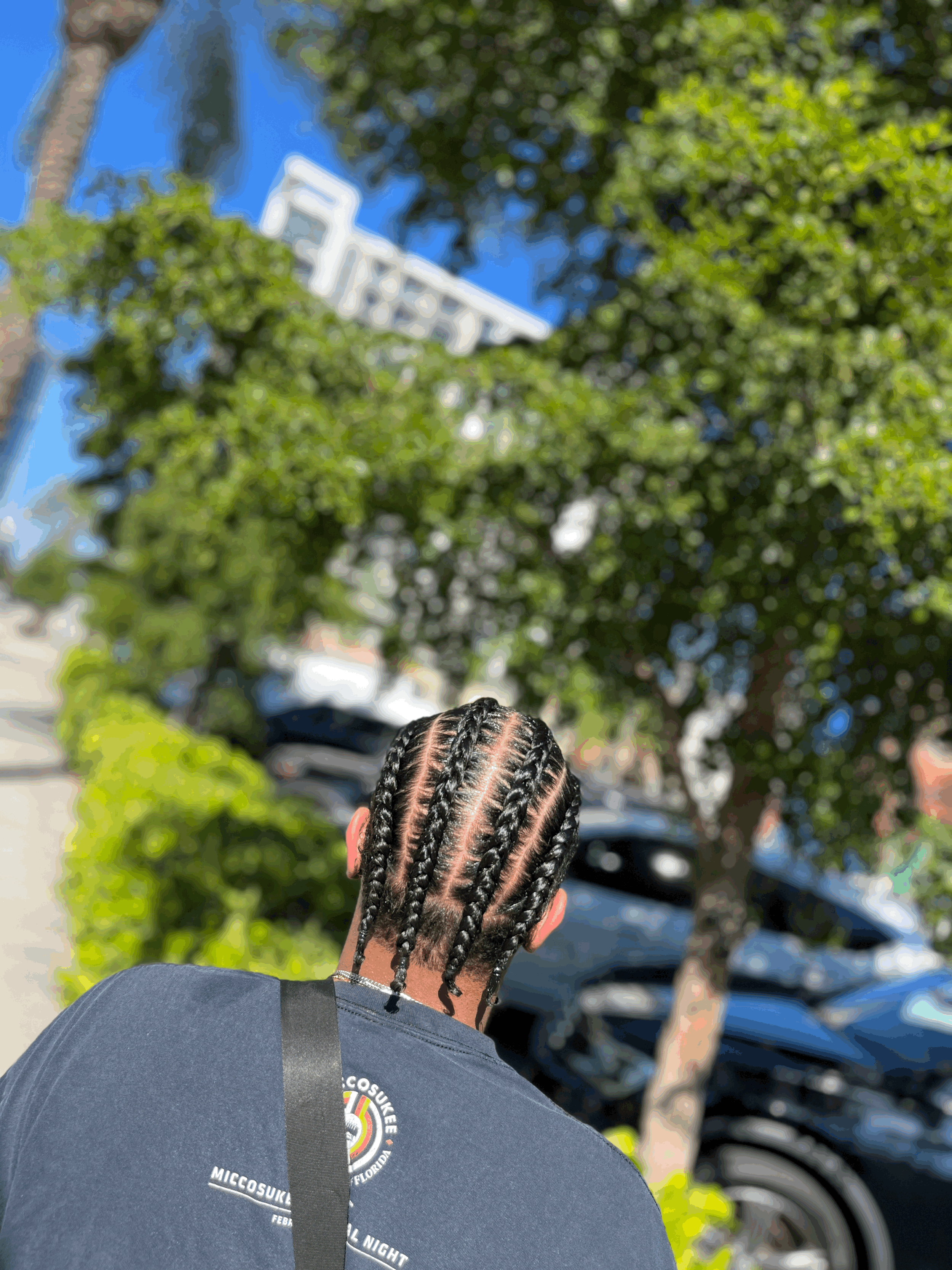 4-6  Natural Braids w/o designs- 3 services
