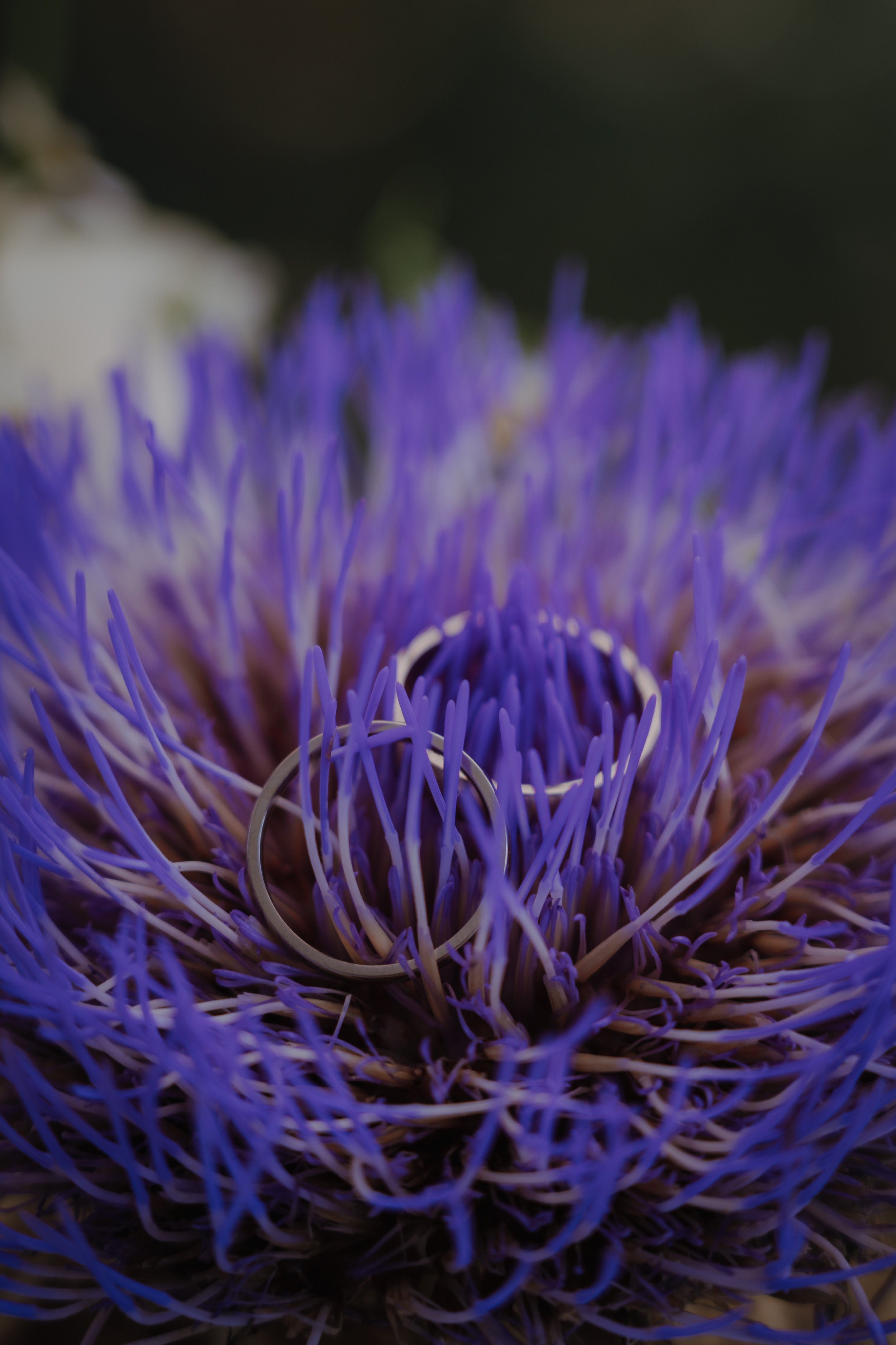 2025-09-11 Hochzeit Steffi & Franz -6771.jpg