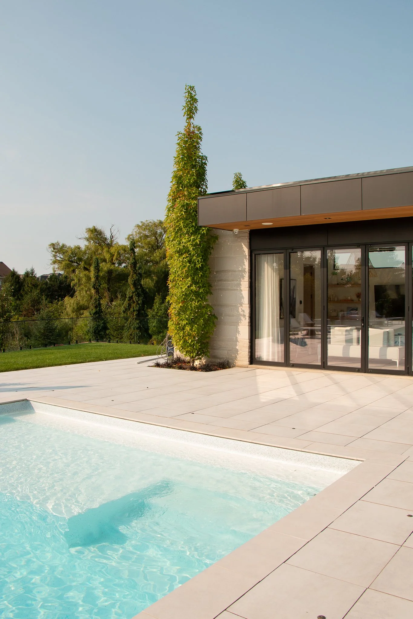 Modern house with large glass sliding doors, outdoor pool, and a green vine climbing up the side of the house, set in a sunny yard with trees in the background.