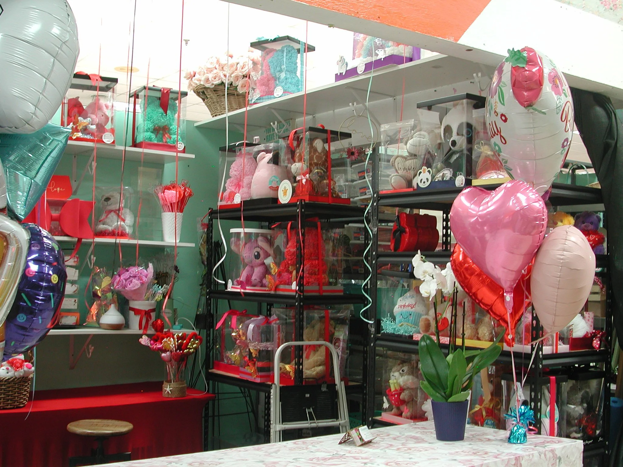 DSCN8214.JPG