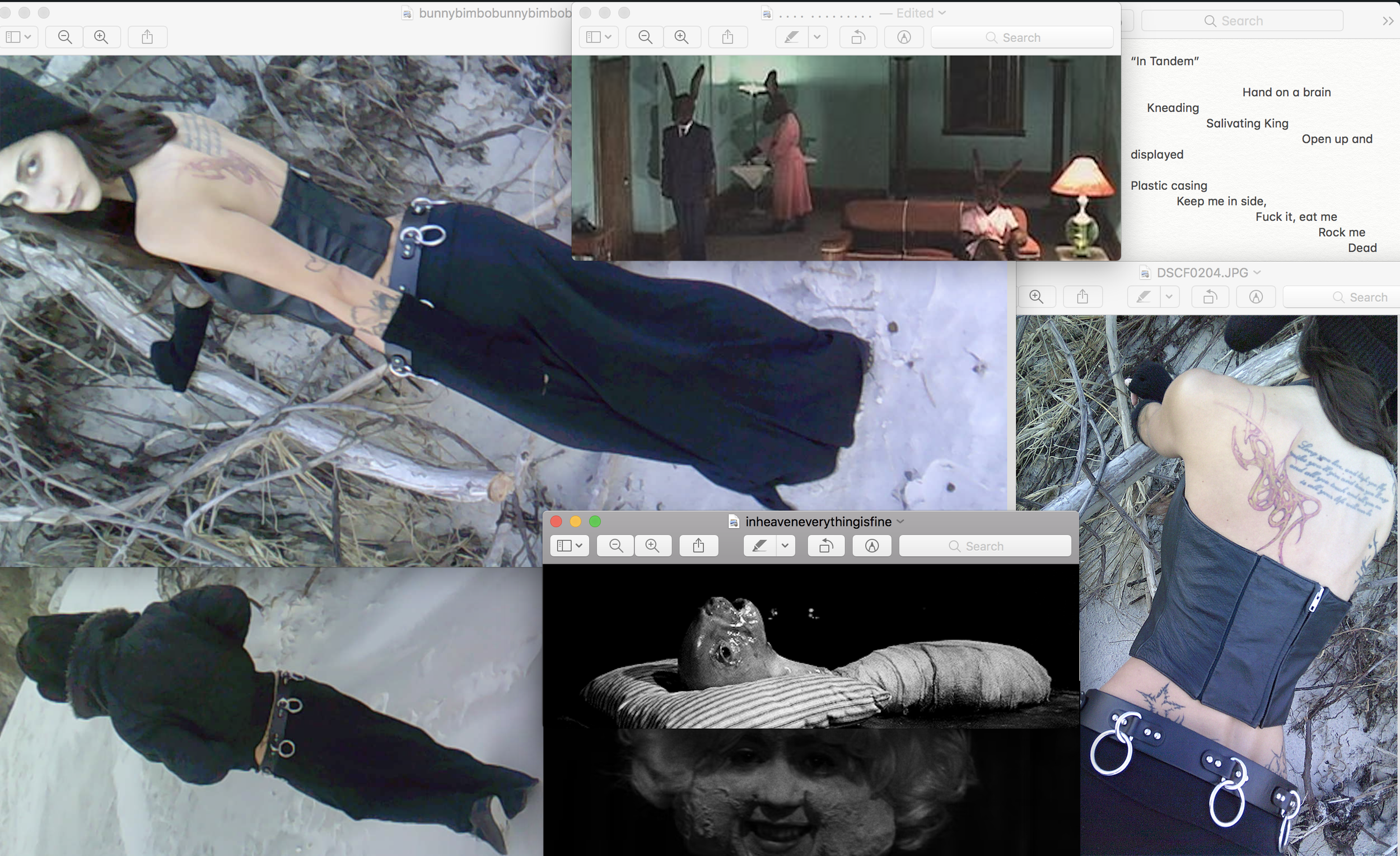 Screen Shot 2025-01-17 at 8.30.48 AM.png