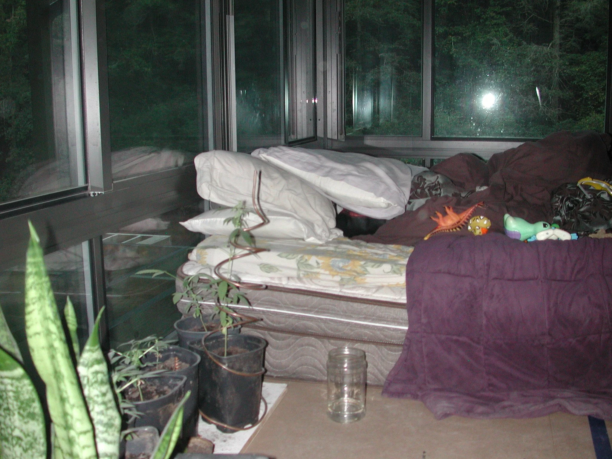DSCN7692.JPG