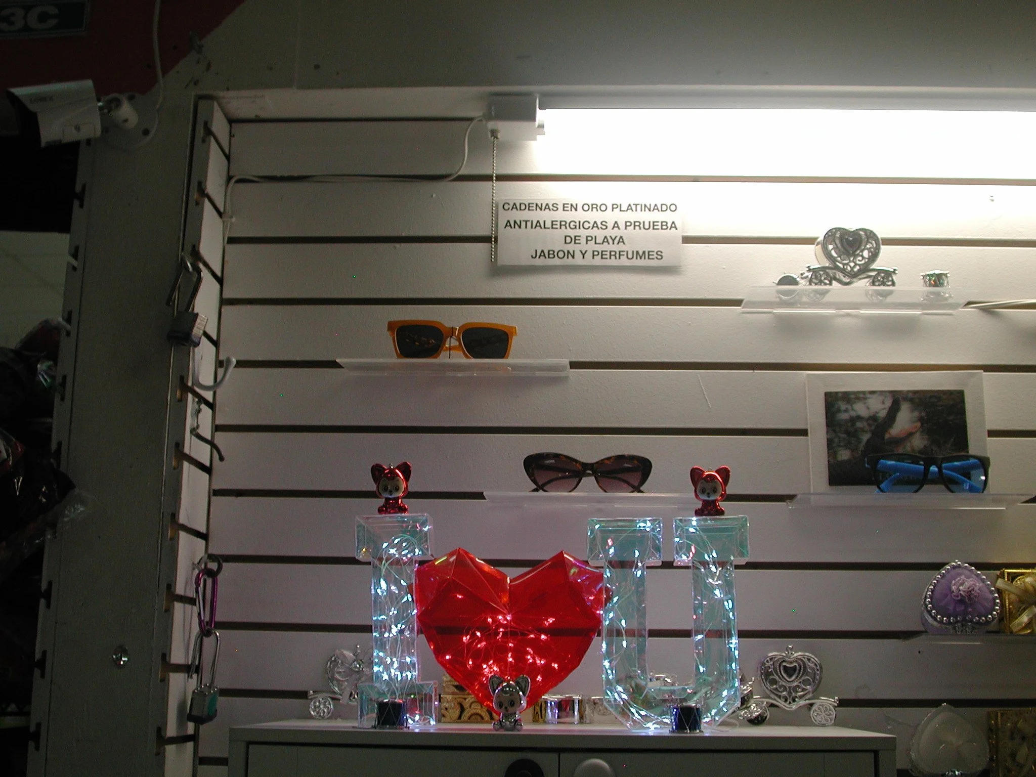 DSCN8209.JPG