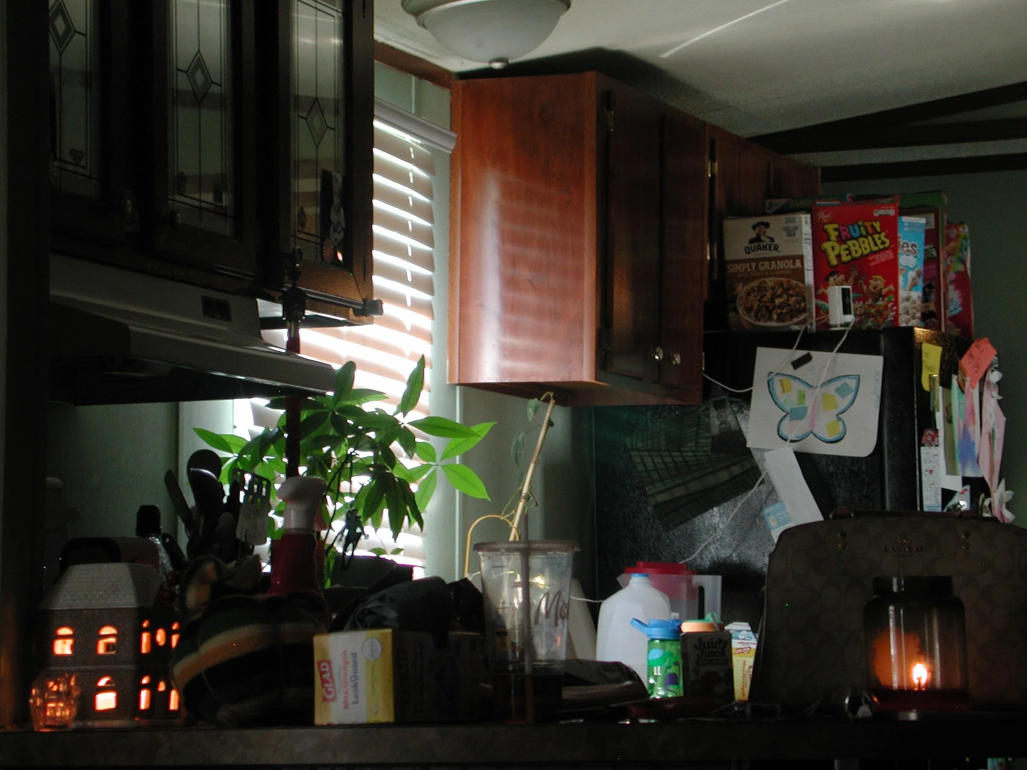 DSCN7704.JPG