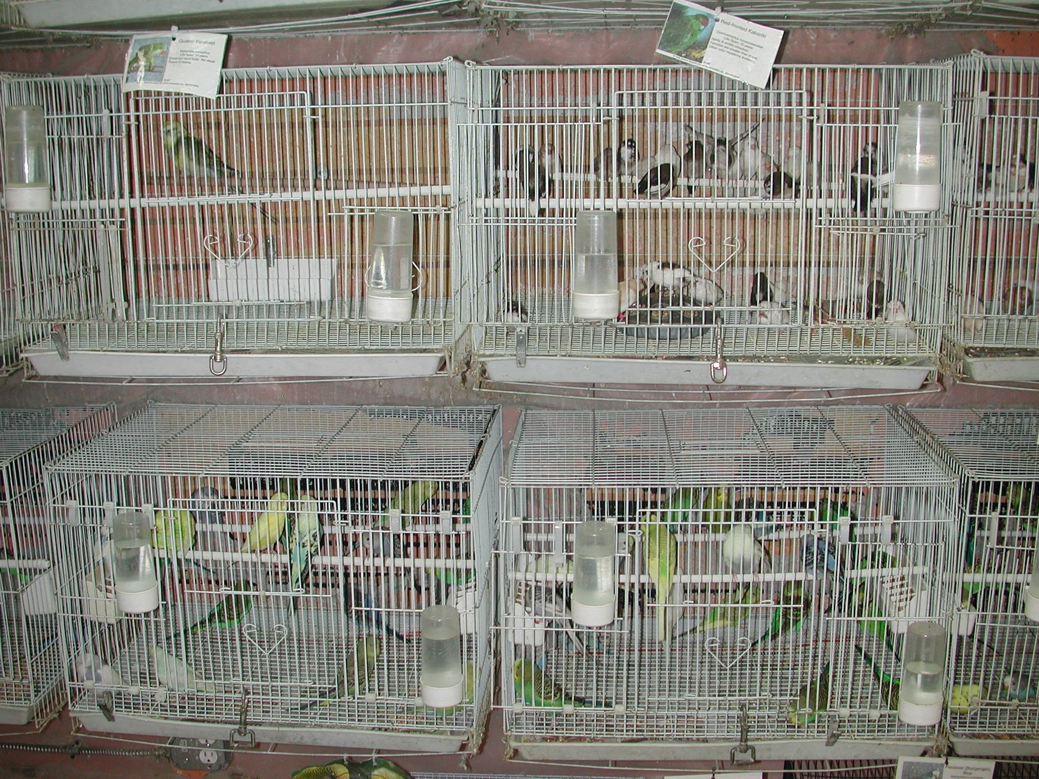DSCN8232 2.JPG