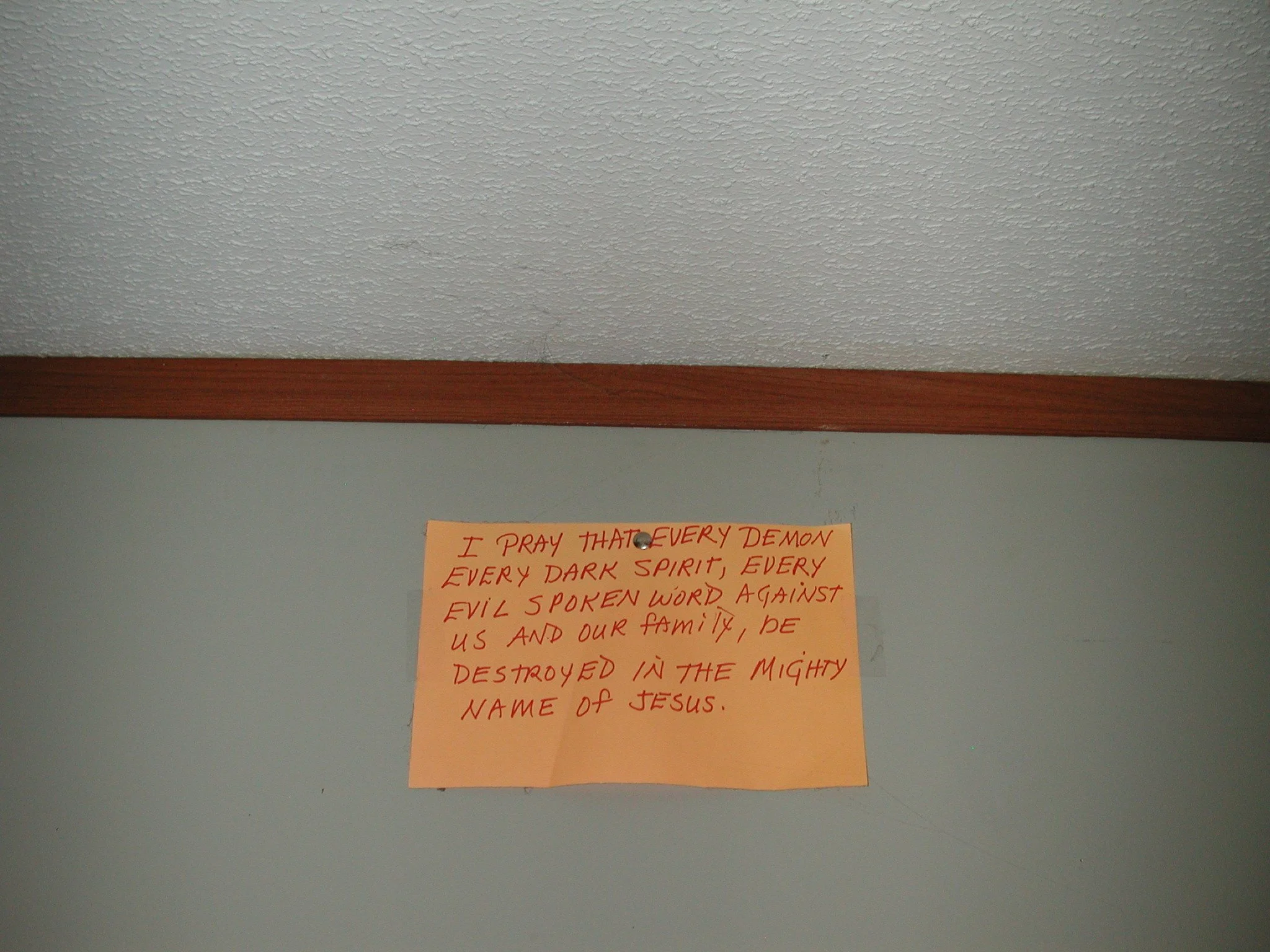 DSCN7782.JPG