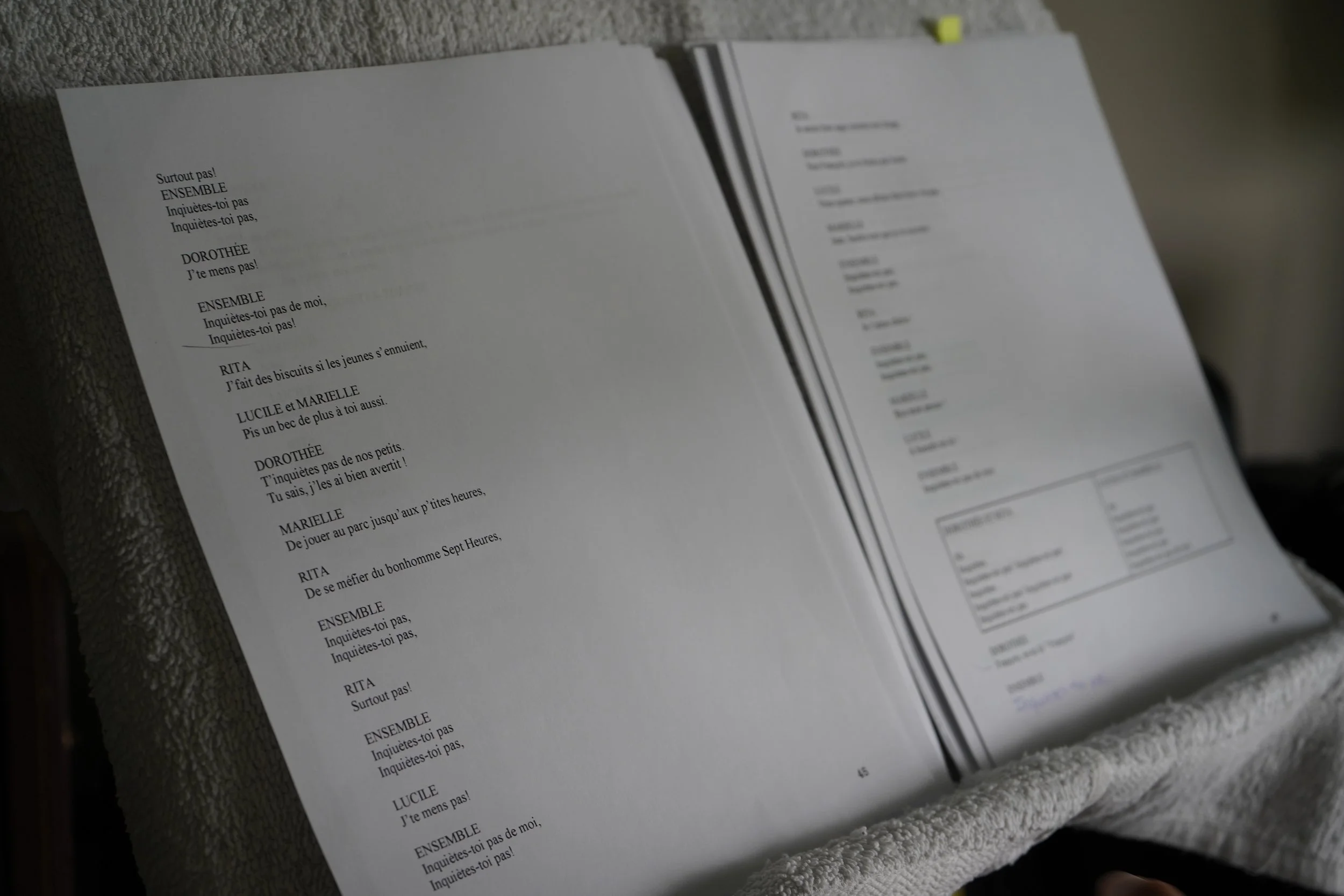 Une page d'un livre ou d'un recueil de poèmes avec des textes en français, posé sur une surface en bois ou en tissu.