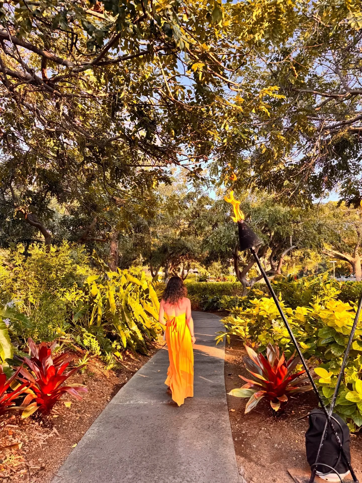 A few glimpses from our time in Hawaii. We admired the sunsets, rode the waves, chased the rainbows, flew over volcanoes and waterfalls, became true experts on a&ccedil;a&iacute; and poke, made new friends 🐴🐶 and were welcomed with warm Aloha greet