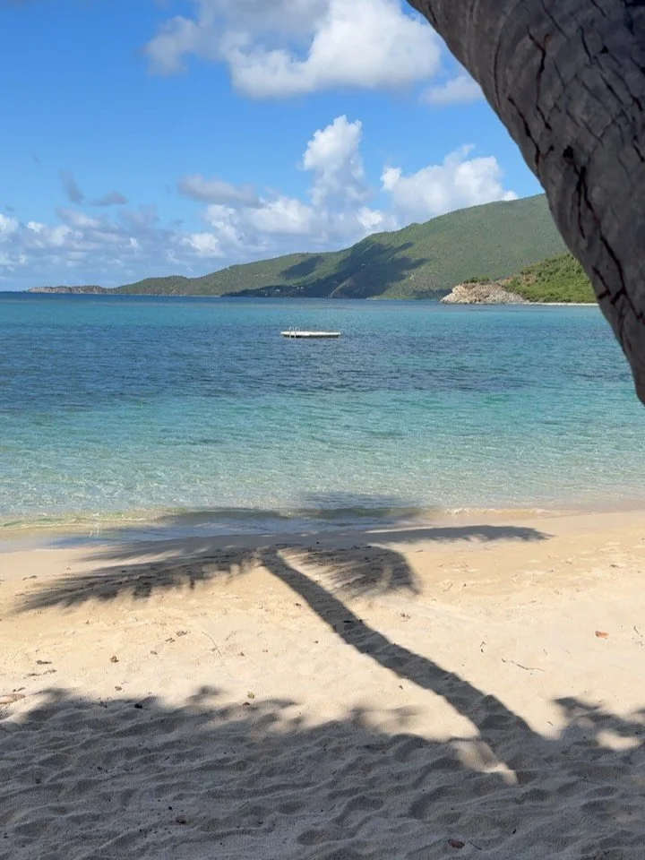 Just back a few days ago from Rosewood Little Dix Bay. &nbsp;🏝️

No question. ✨Iconic✨ for a reason. Understated luxury, completely connected to nature. Would I go back? In a heartbeat. 

All rooms and suites are just steps from clear, blue waters, 