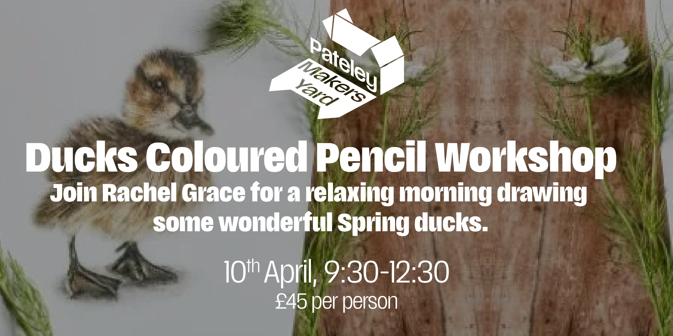 Spring Ducks - Coloured Pencil Workshop with Rachel Grace