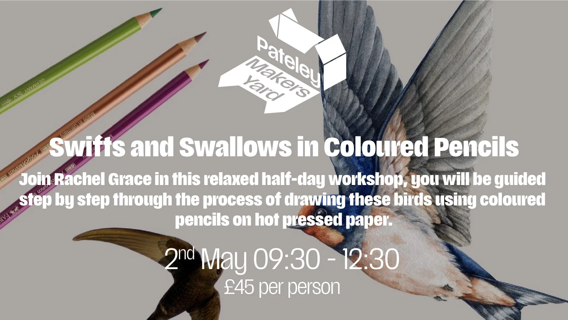 Swifts &amp; Swallows in Coloured Pencil - Workshop with Rachel Grace
