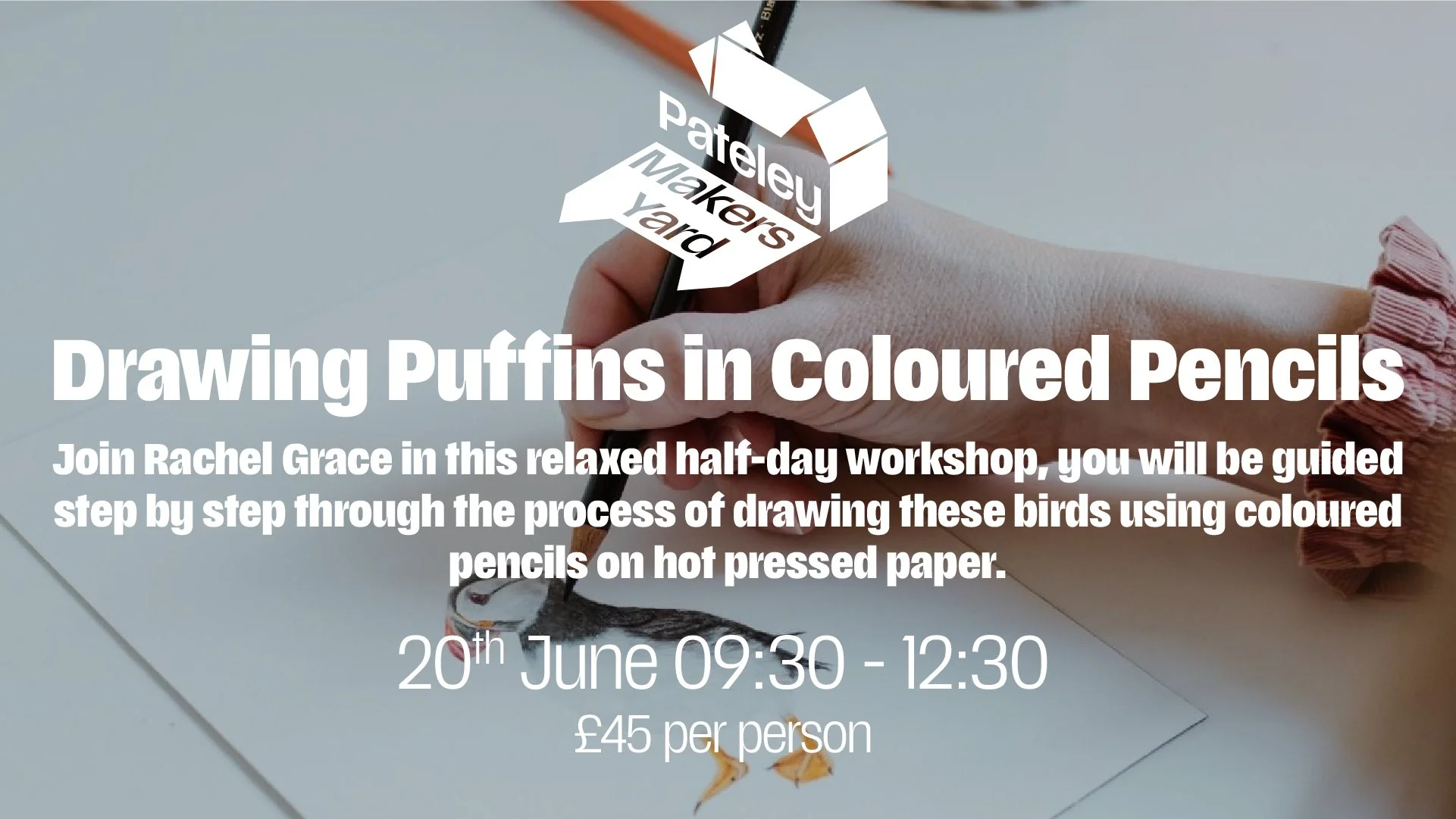 Drawing Puffins in Coloured Pencil - Workshop with Rachel Grace
