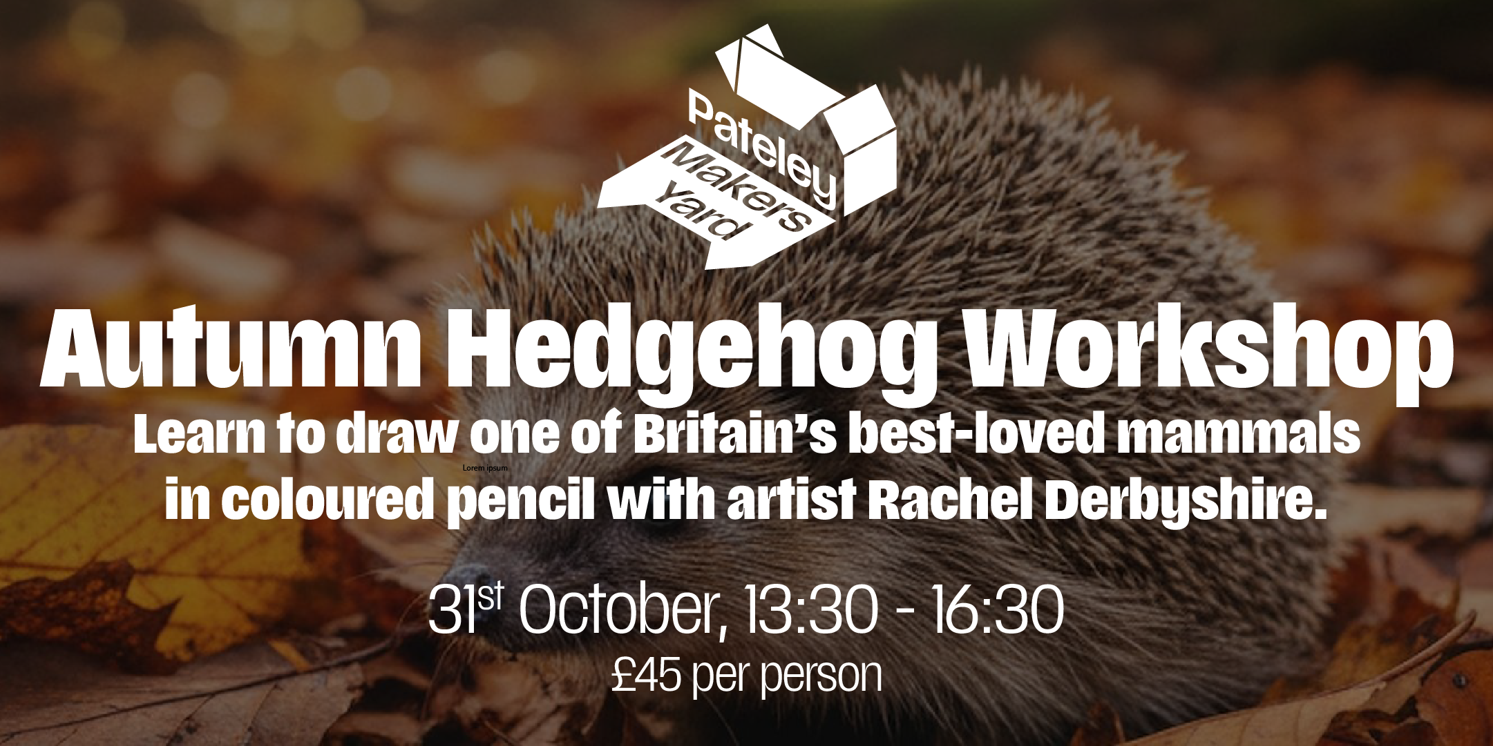 Autumn Hedgehog in Coloured Pencil with Rachel Derbyshire