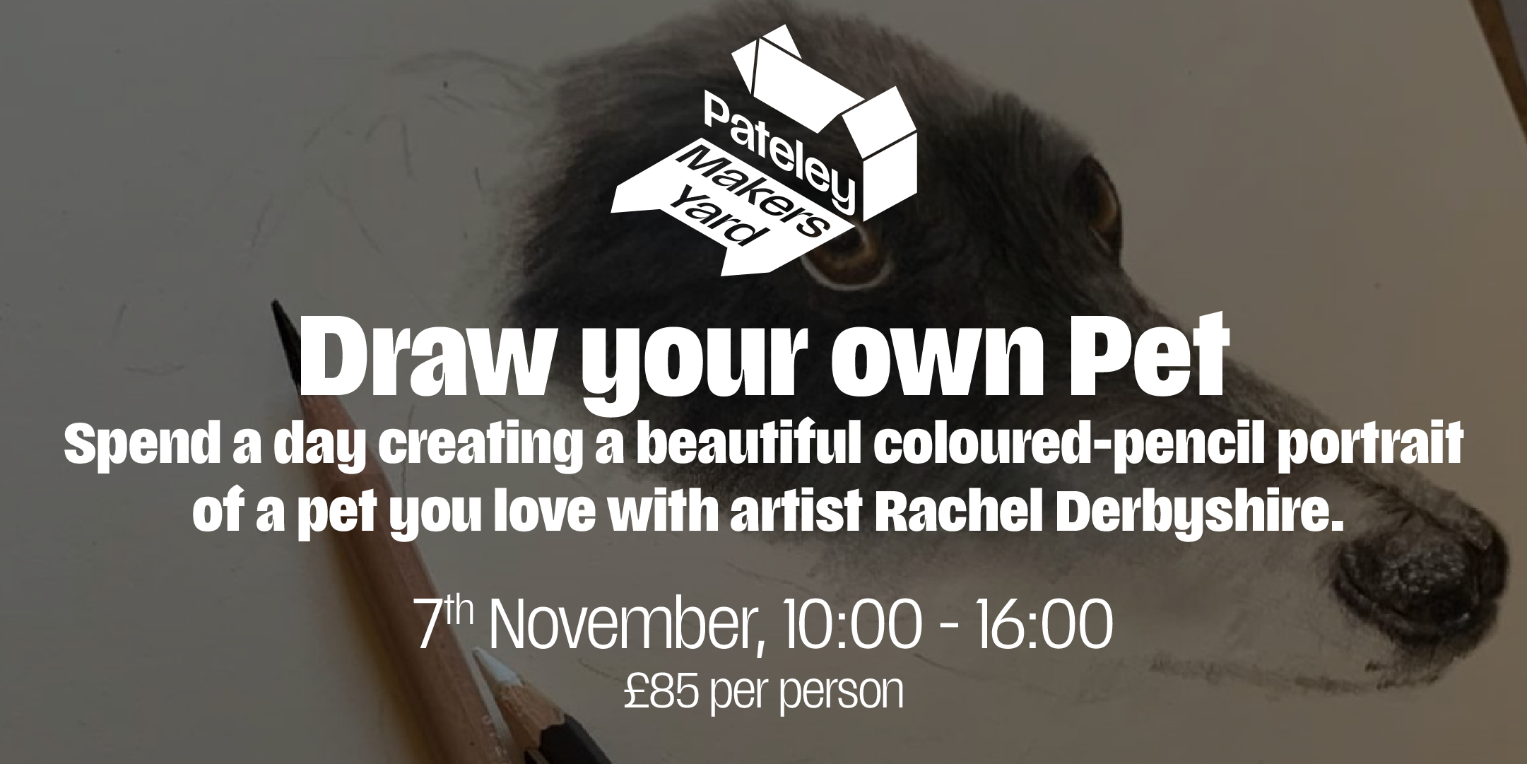 Draw your Own Pet in Coloured Pencil with Rachel Derbyshire
