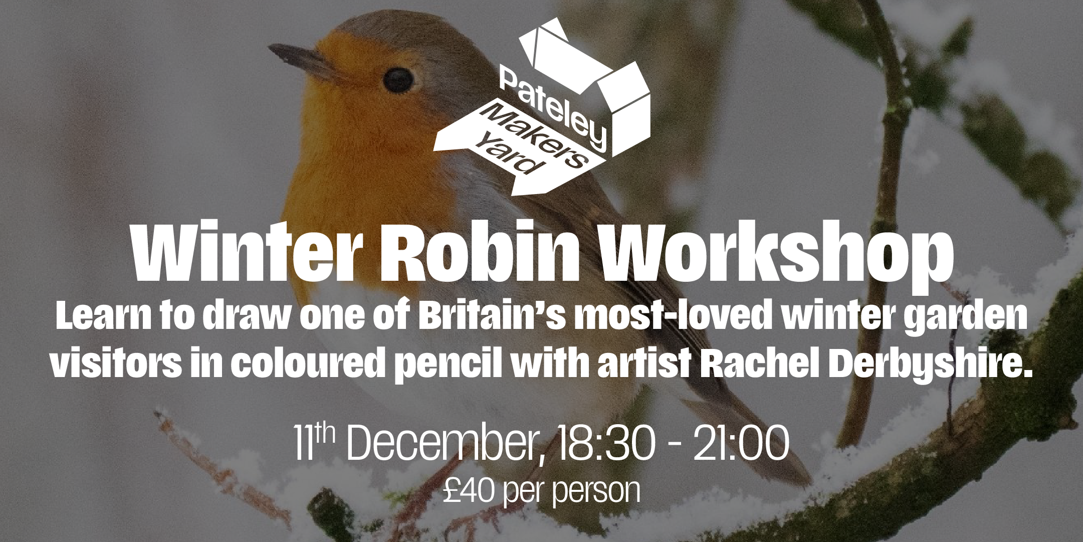Winter Robin in Coloured Pencil with Rachel Derbyshire