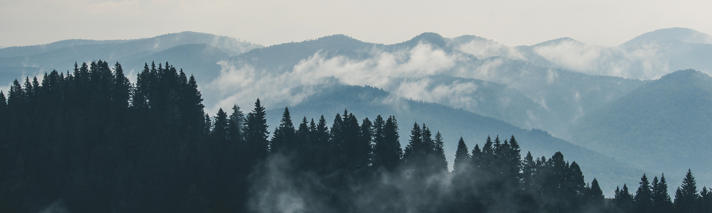 Layered mountain landscape with evergreen trees and low-lying clouds or fog.