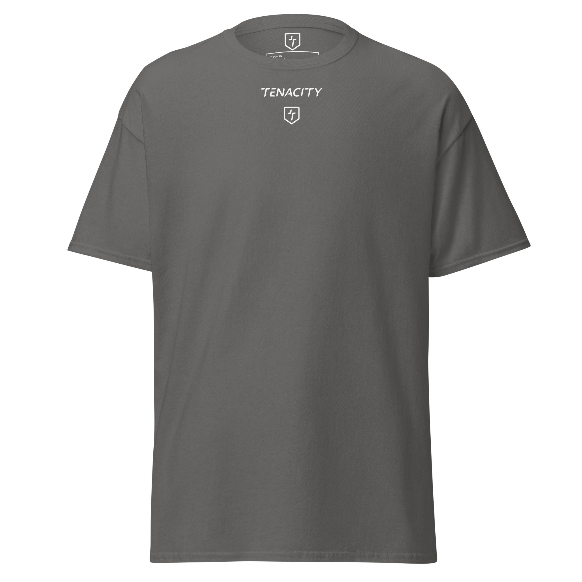 unisex-classic-tee-charcoal-front-67d1a4585307d.jpg