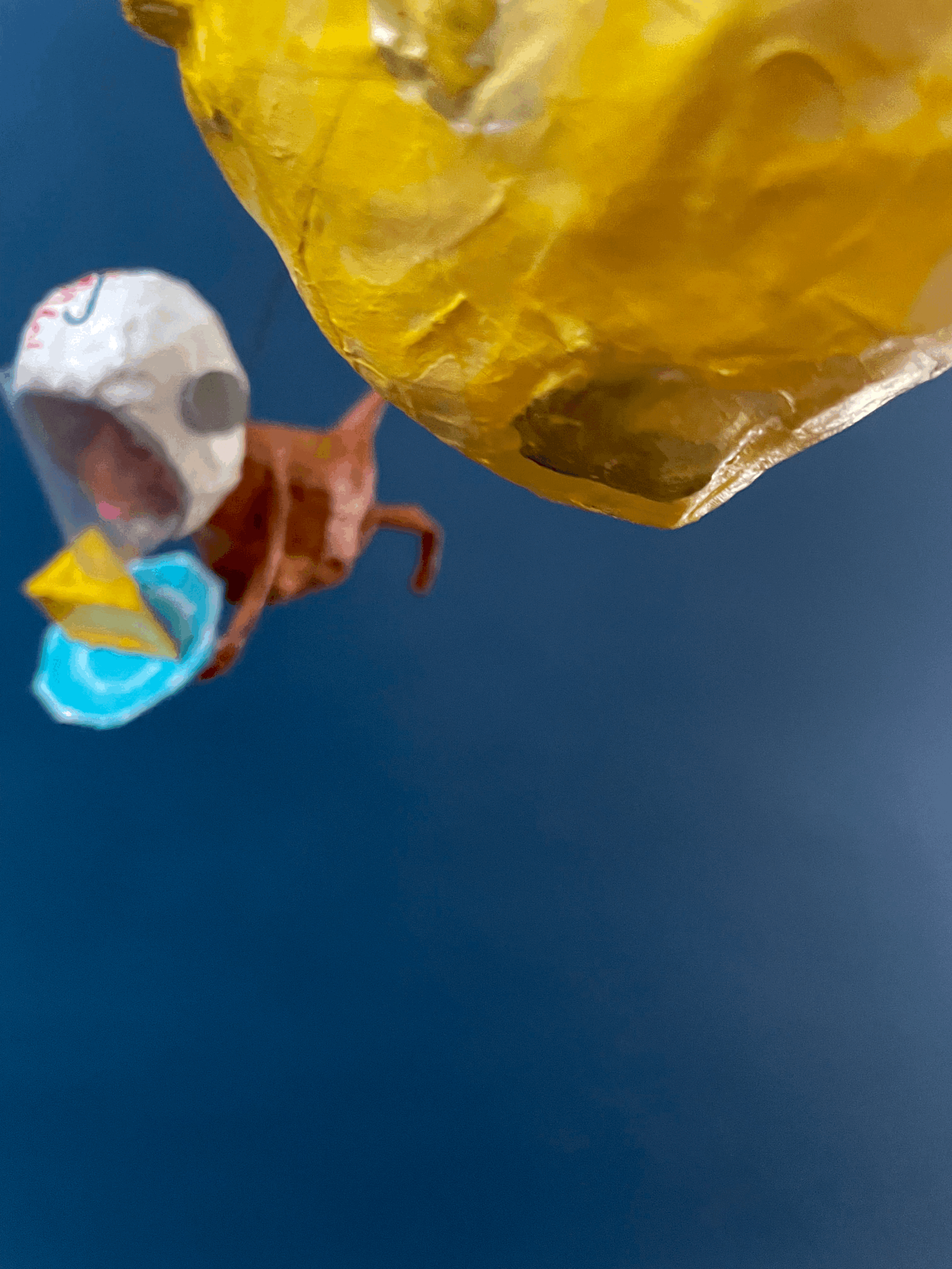 tempImageeLvw0v.gif
