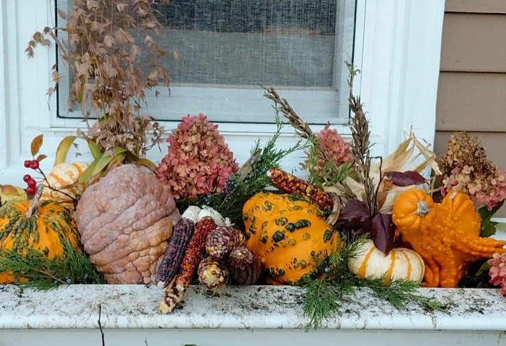 Gayle had a delightful time putting together these Thanksgiving Window Boxes for Kristen last week with elements from around her yard and some supplementary items from @shickasheenfarm
