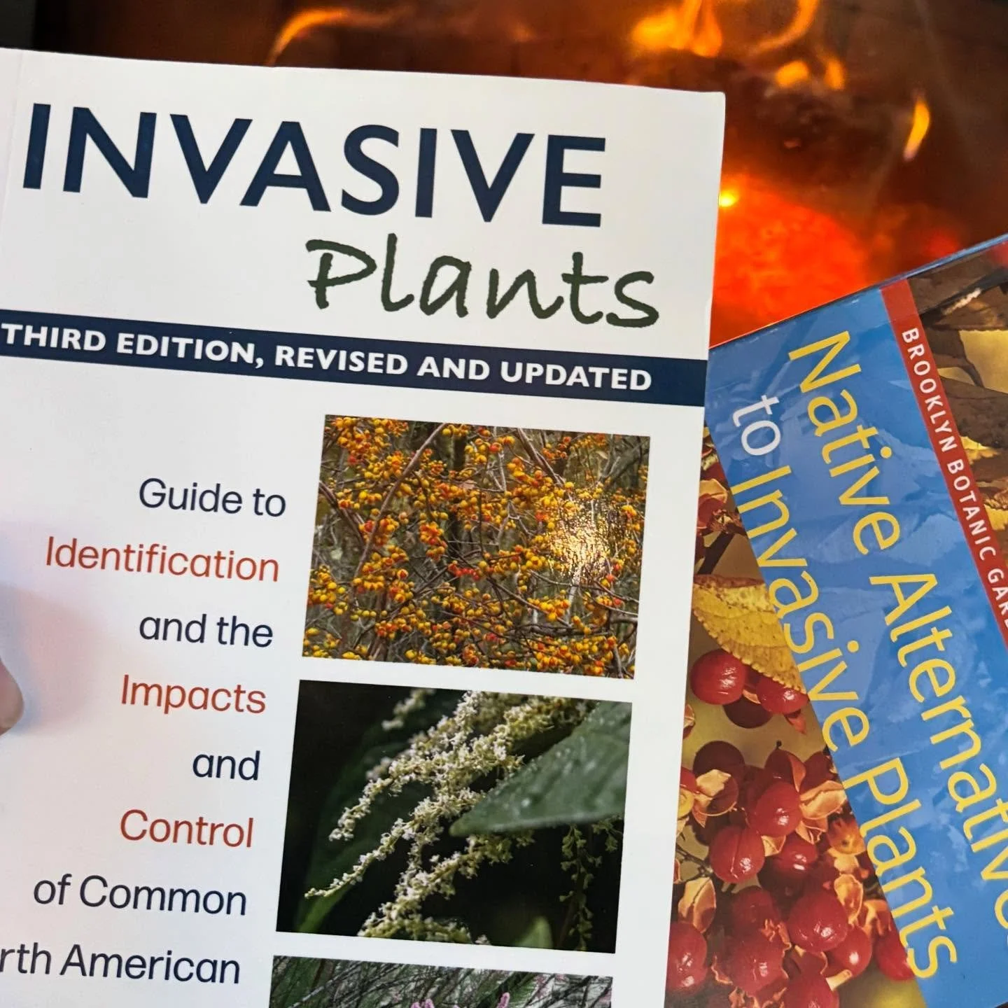 We&rsquo;re grateful for resources like @uricoopext course offerings which allow us to continue to study and grow our expertise!

Invasive Species Management Certification: ✅