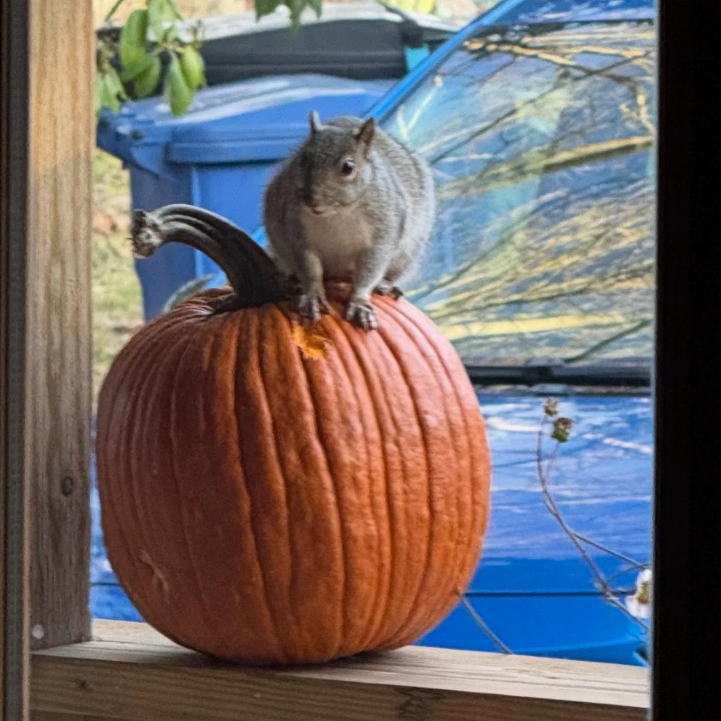 Tis the season&hellip;