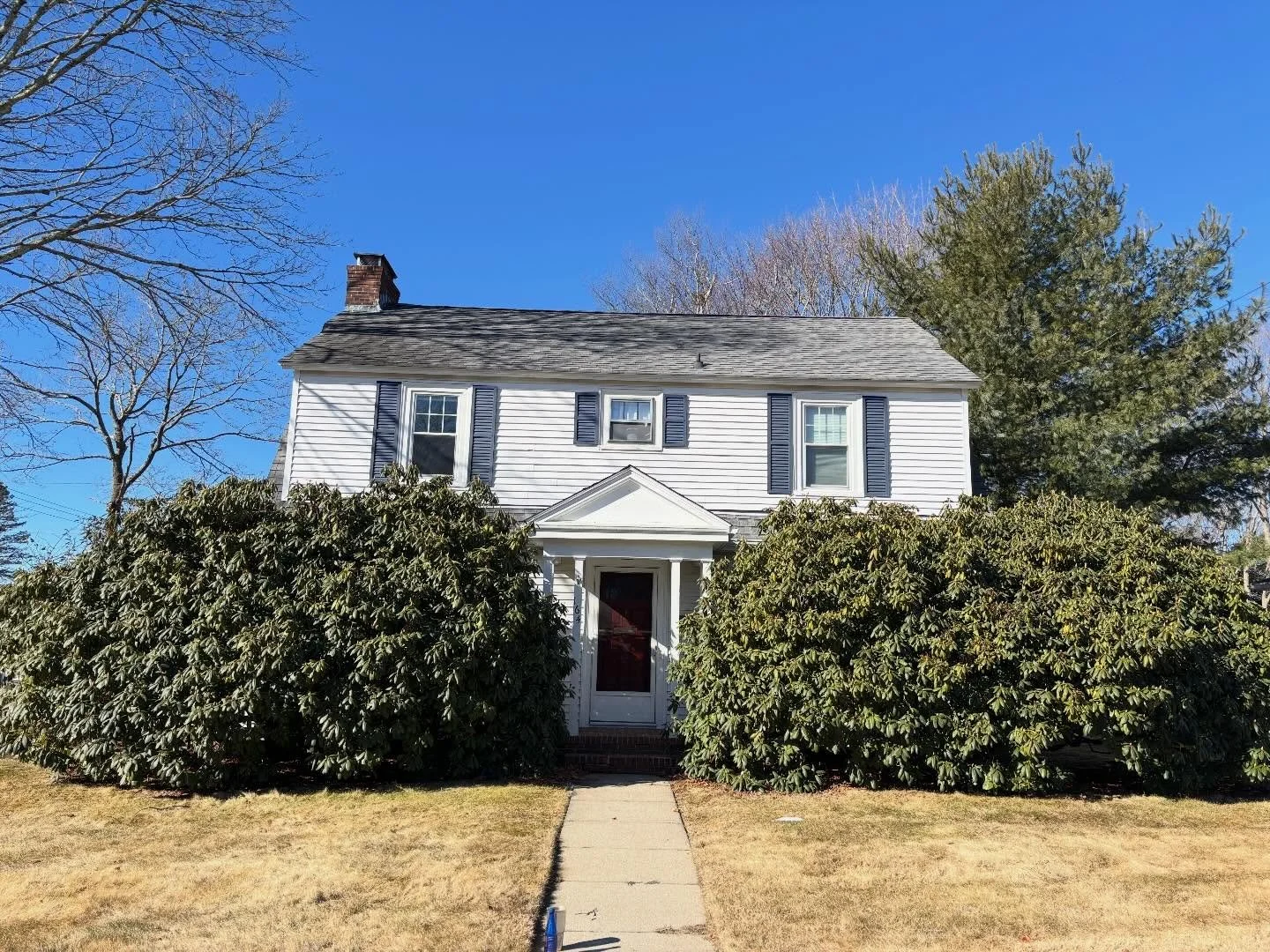 Throwback to when Chris and Tom reduced these massive rhododendrons to restore a view to the first floor windows!

There are two great times to prune rhodys: late winter before spring growth appears, and late May right after the blooms fade. Both wor