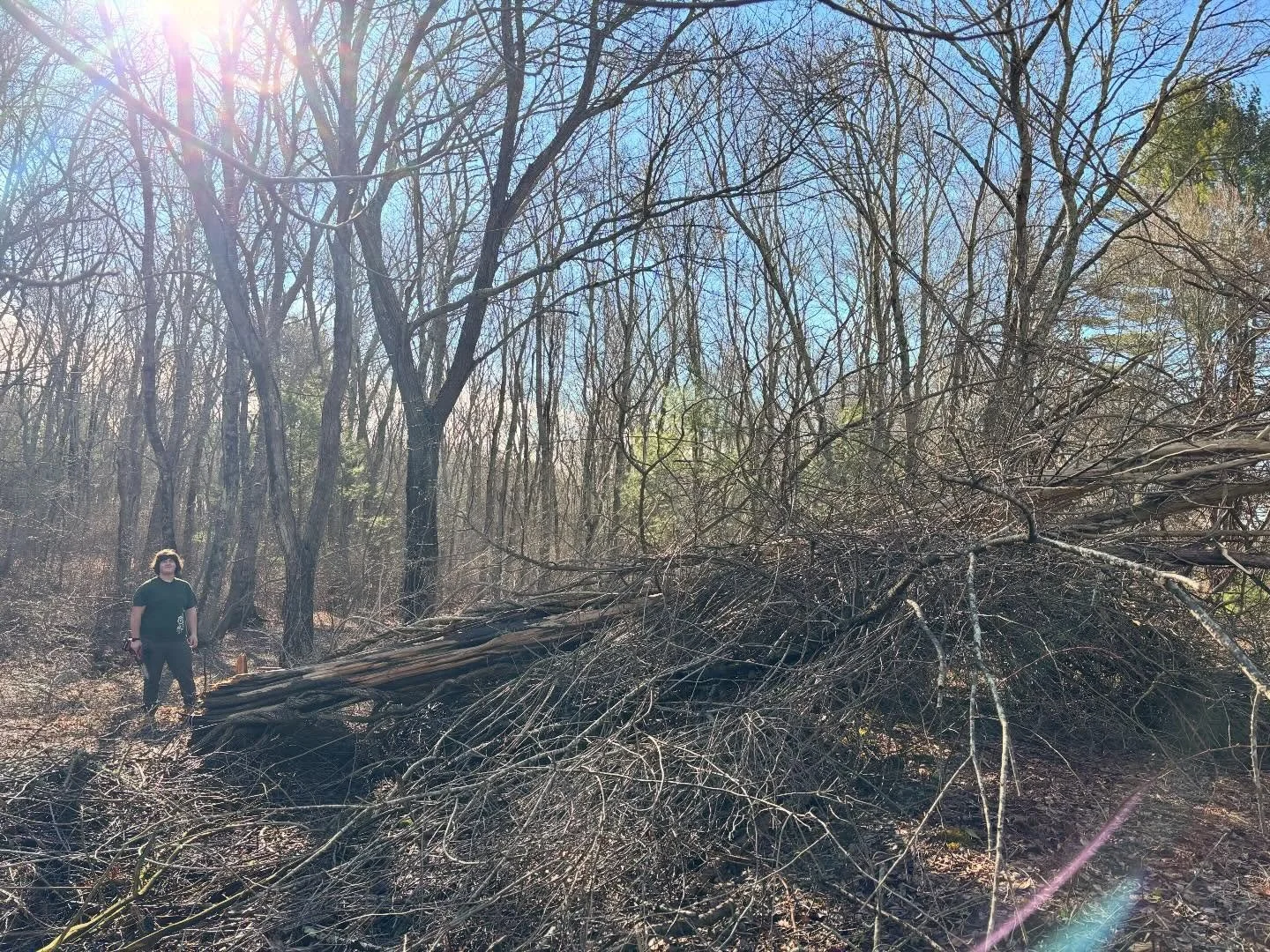 Lucas made a tree disappear!

Invasive bittersweet and multiflora Rose had already killed this juniper when the blizzard of 2026 knocked it down.

Then Lucas and Tat spent the morning chopping it up and dragging the pieces away. The site is now ready